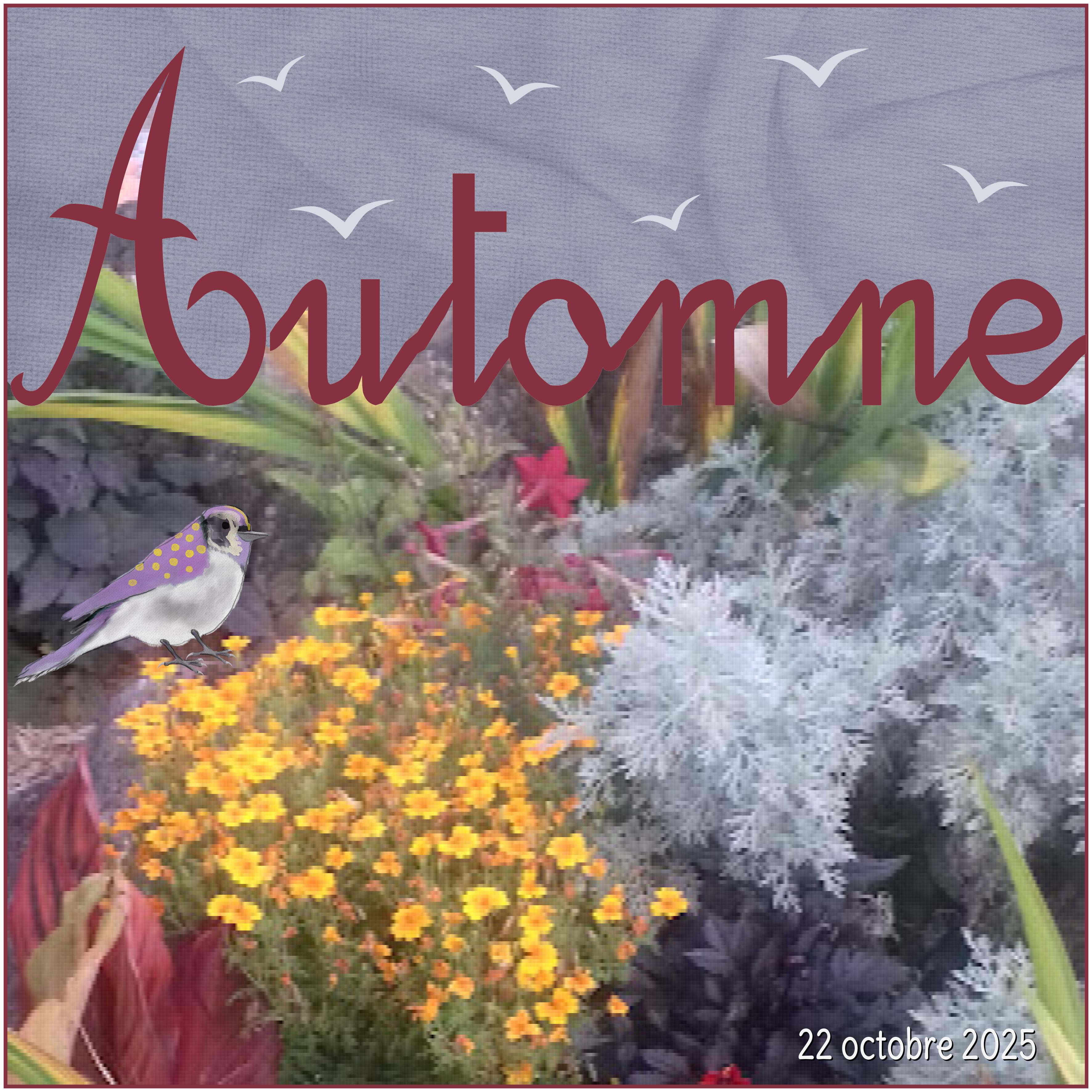 J-n174 - AUTOMNE.jpg