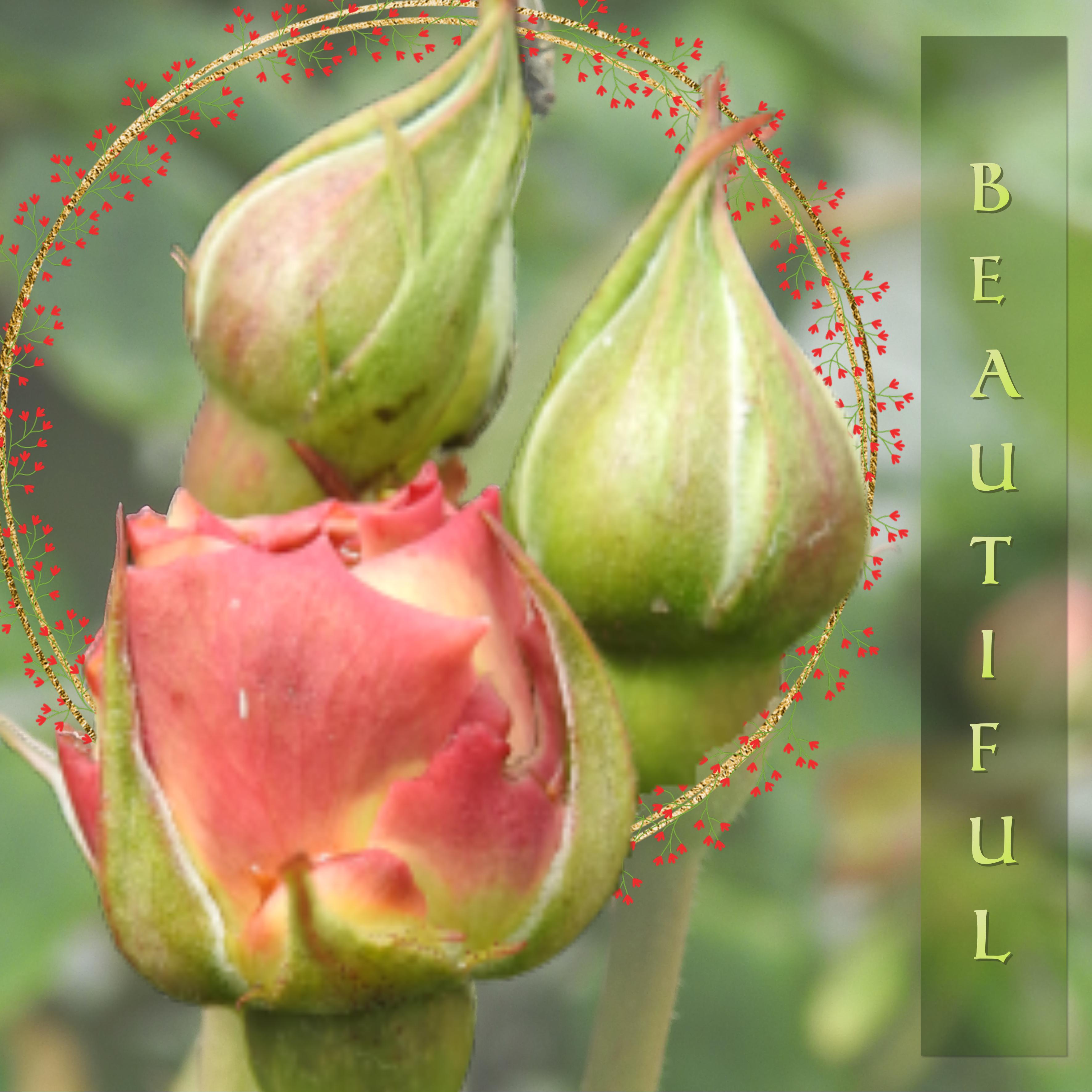 J-n176 - BEAUTIFUL.jpg