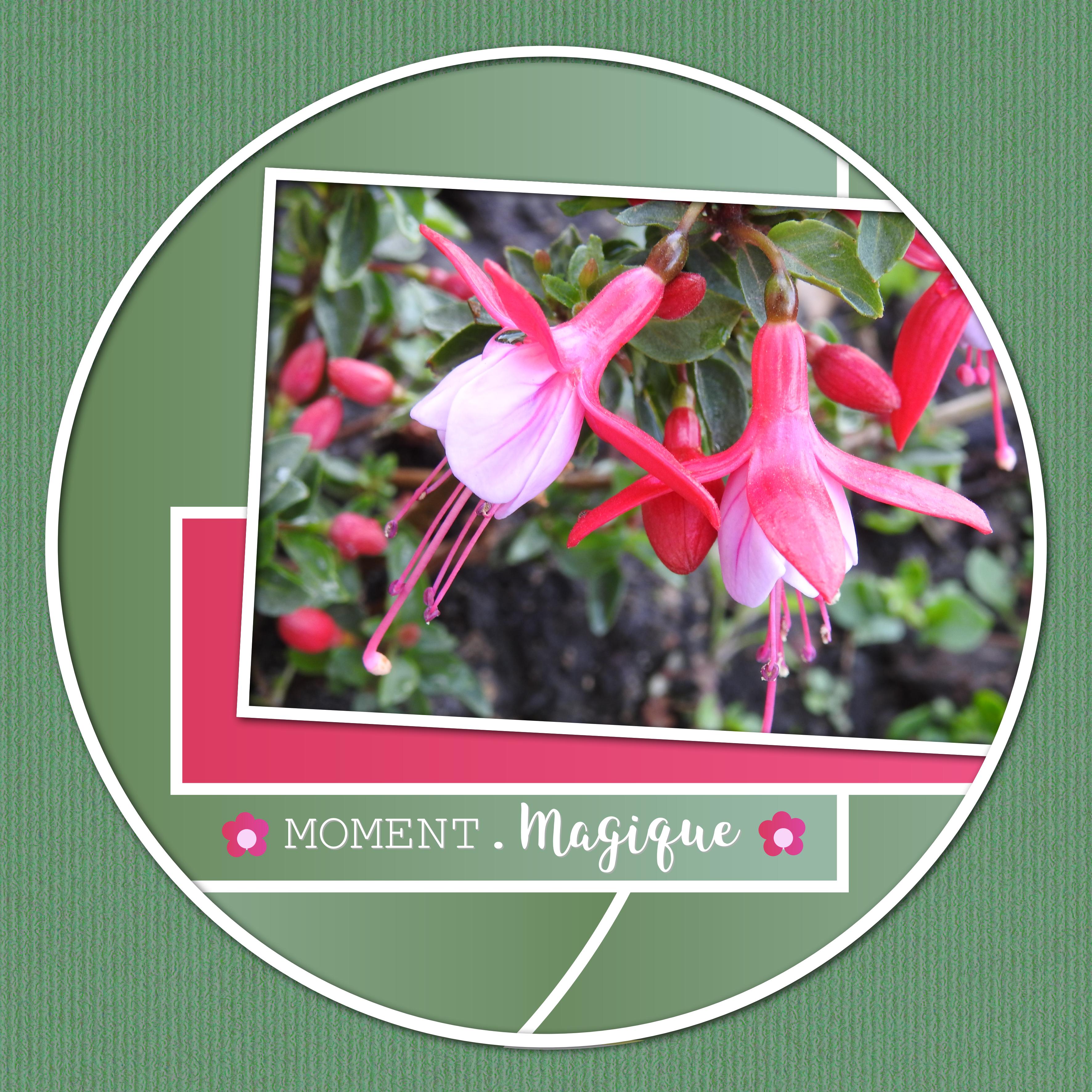 J-n177 -  MOMENT MAGIQUE.jpg