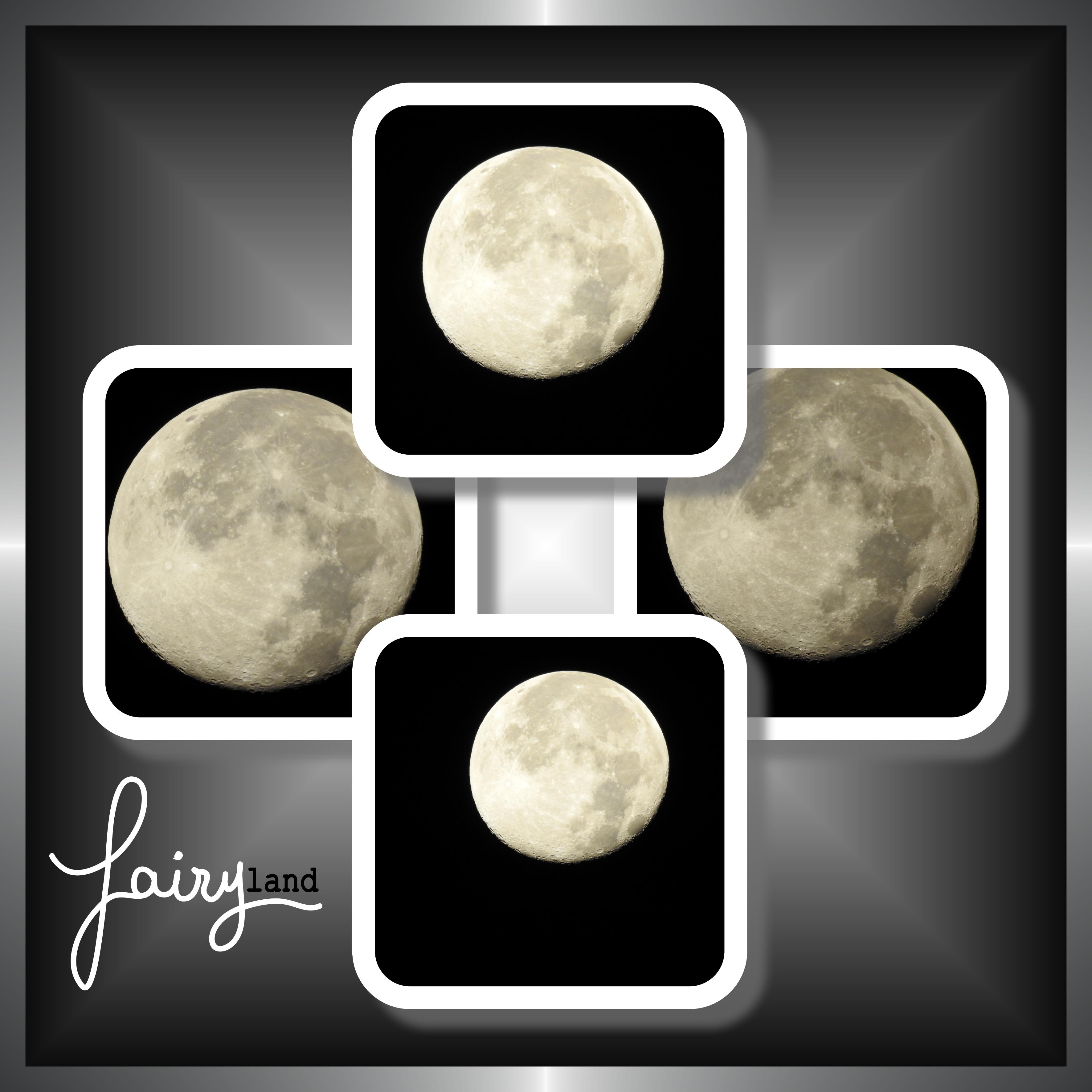 J-n179 - FAIRY LAND.jpg