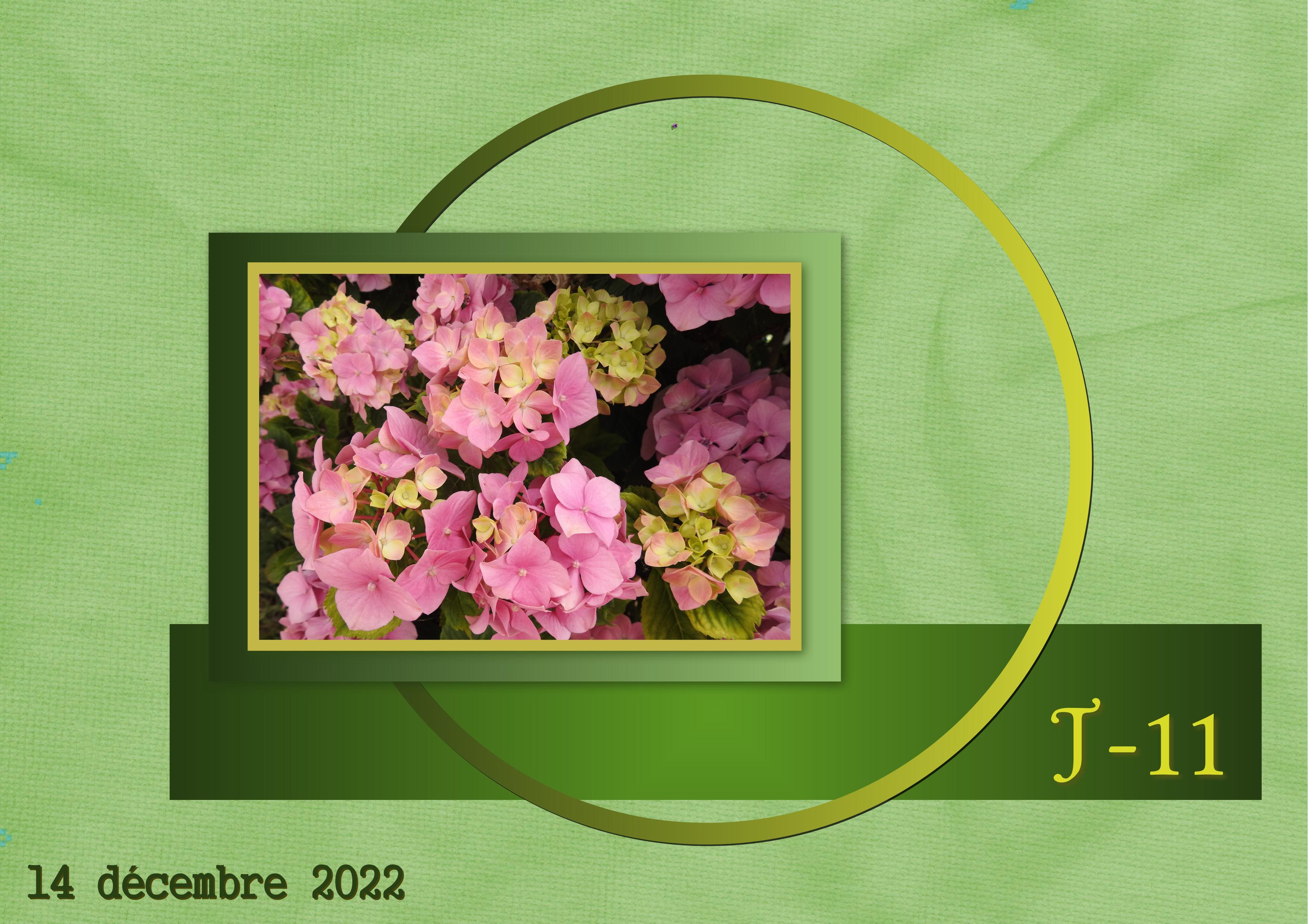 J-N18 - AVENT-11.jpg