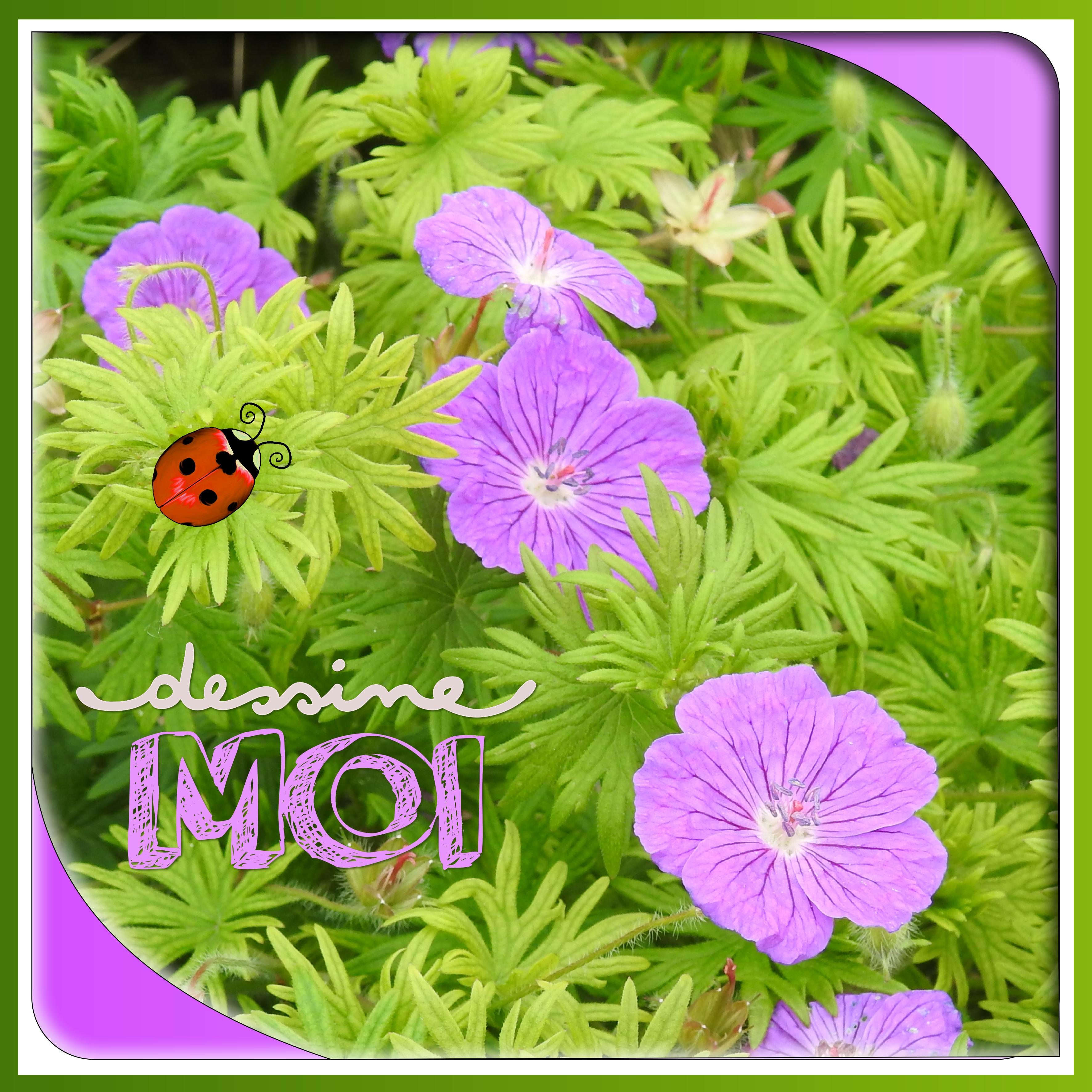 J-n18 - DESSINE MOI.jpg