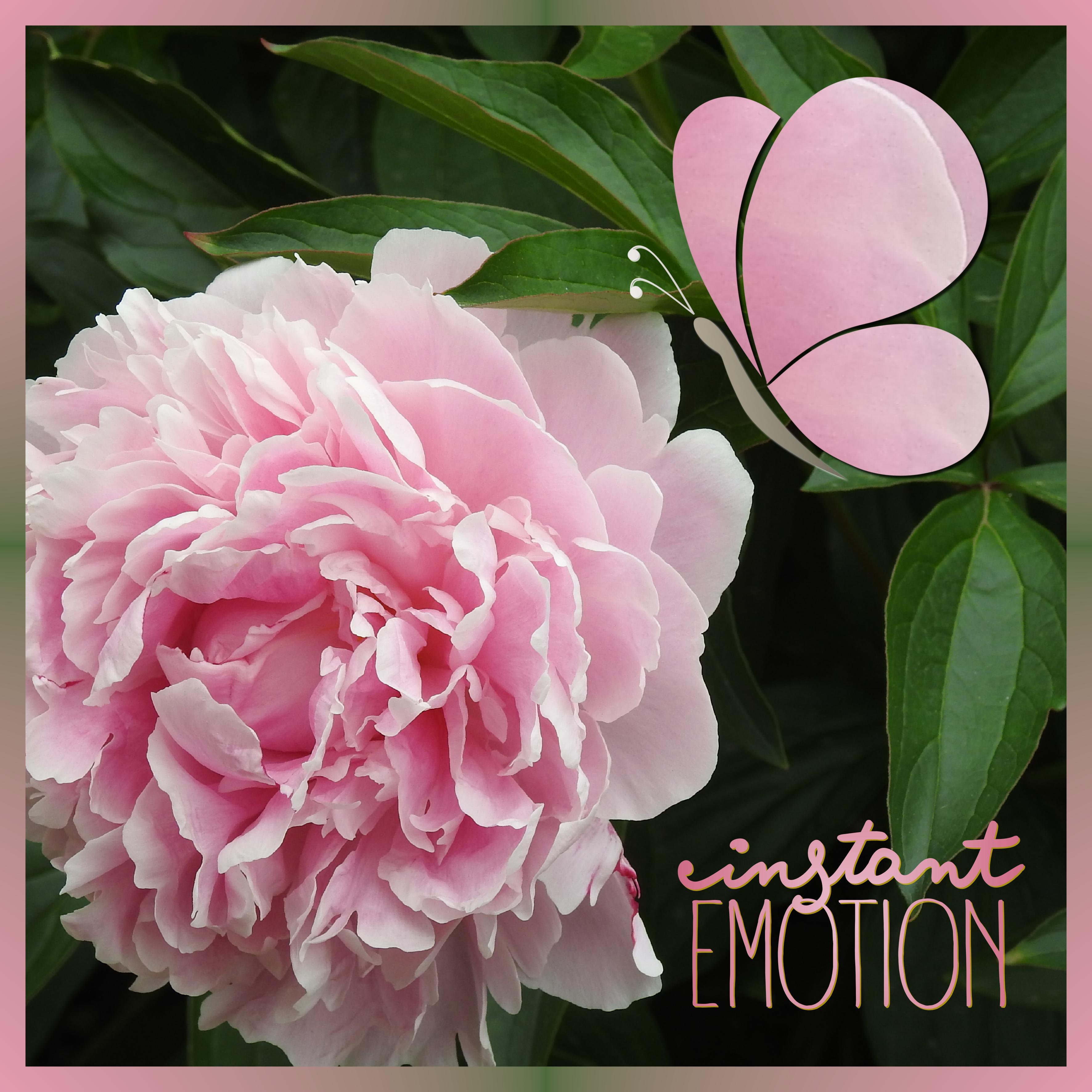 J-n18 - INSTANT EMOTION.jpg