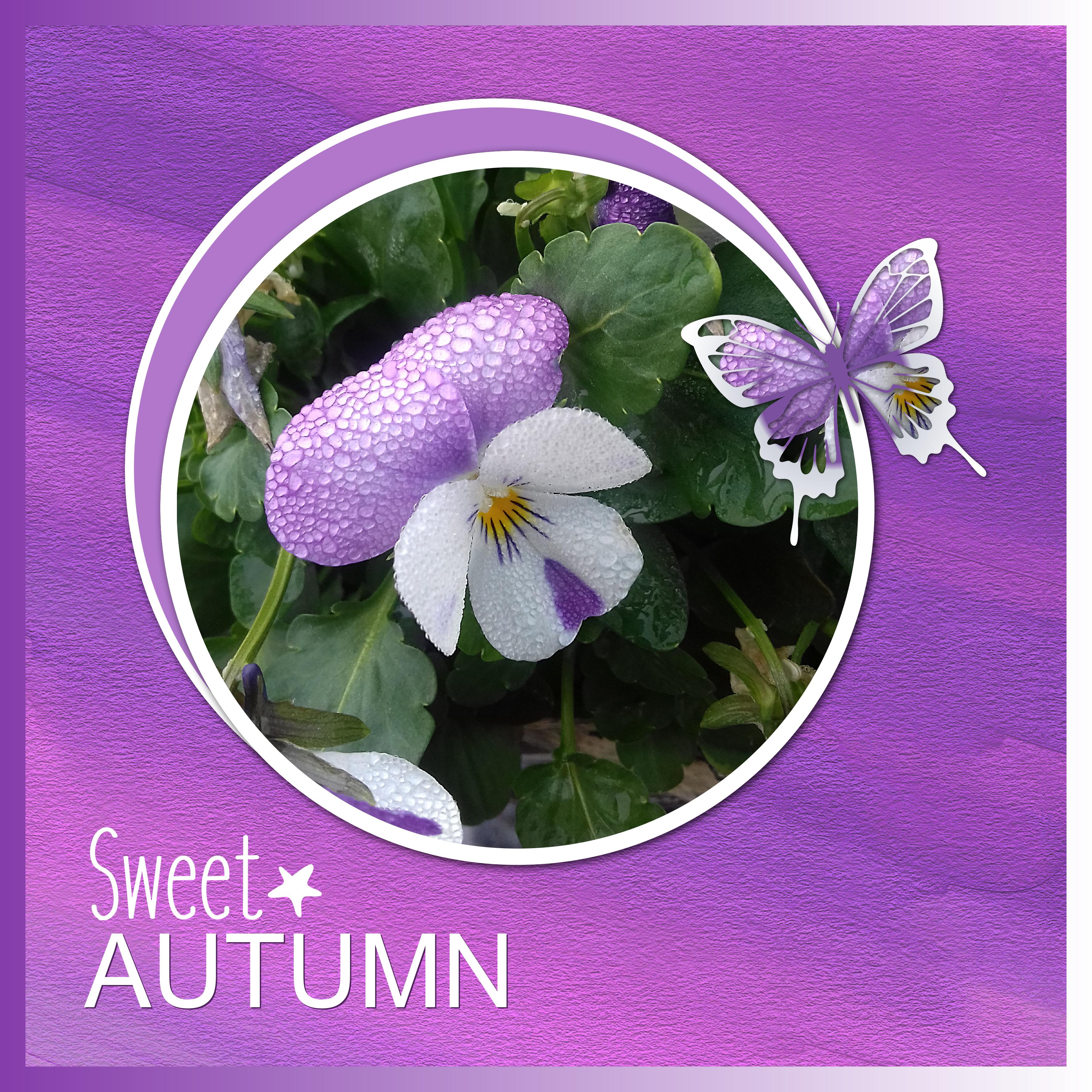 J-n184 - SWEET AUTUMN.jpg