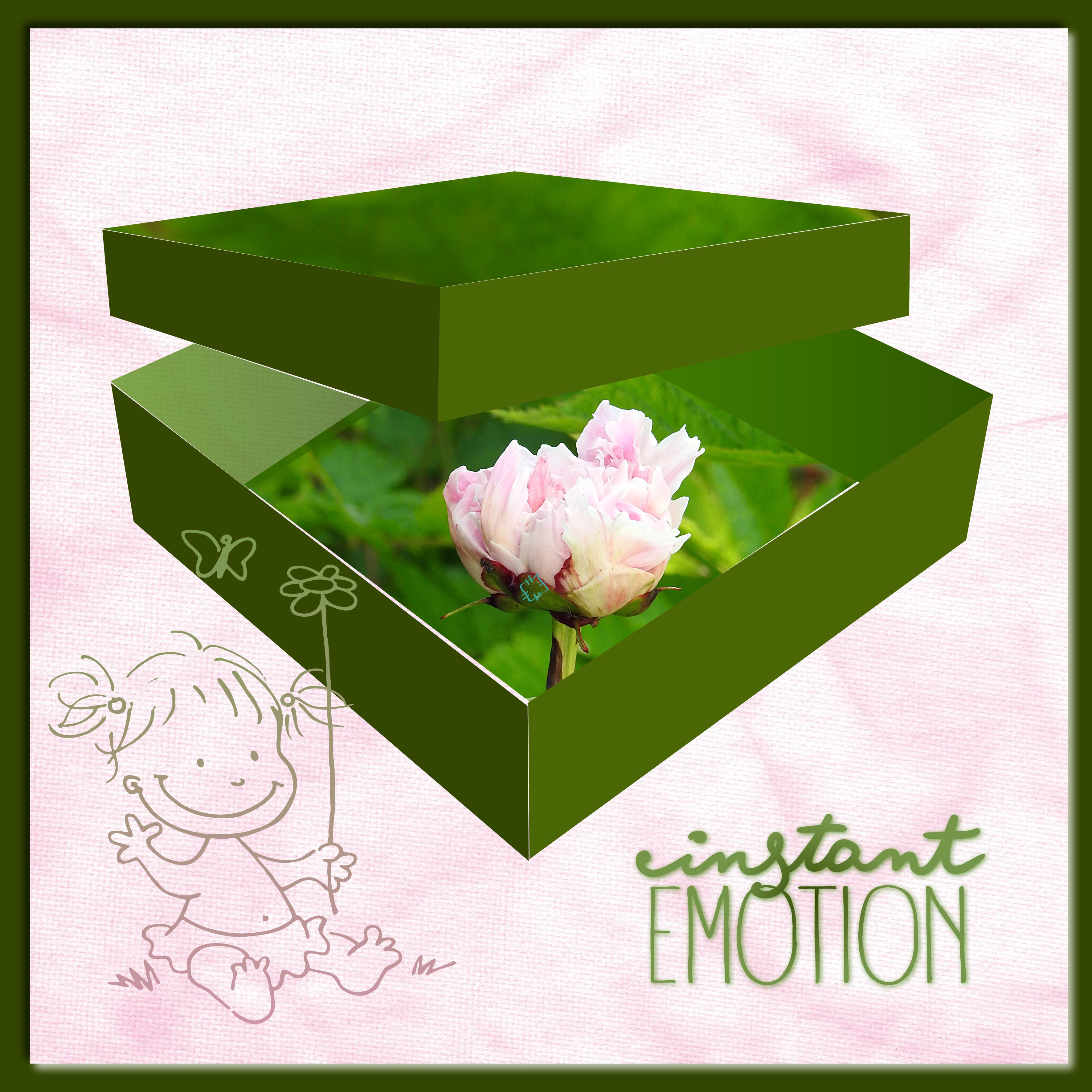 J-n187 - INSTANT EMOTION.jpg