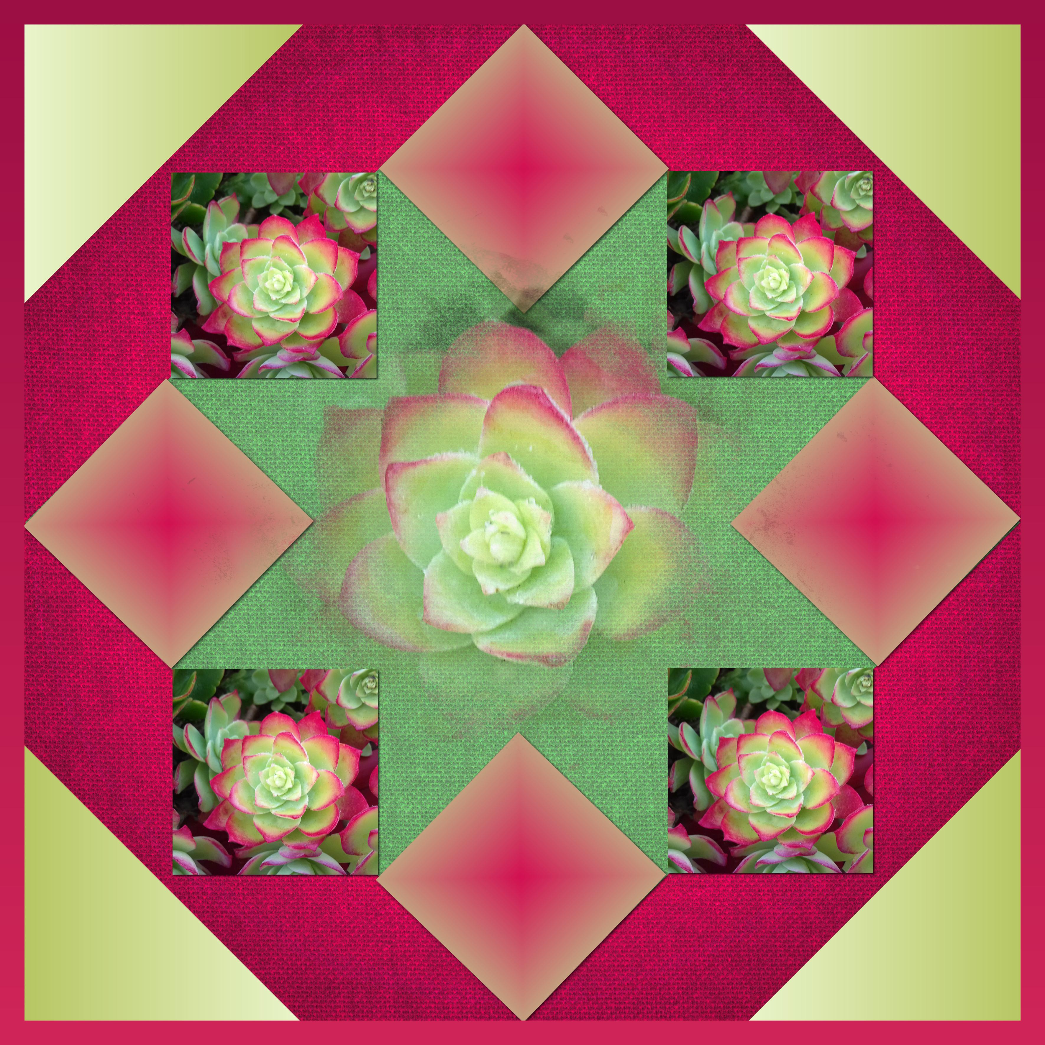 J-n187 - QU'ELLE EST BELLE LA NATURE ...   .jpg