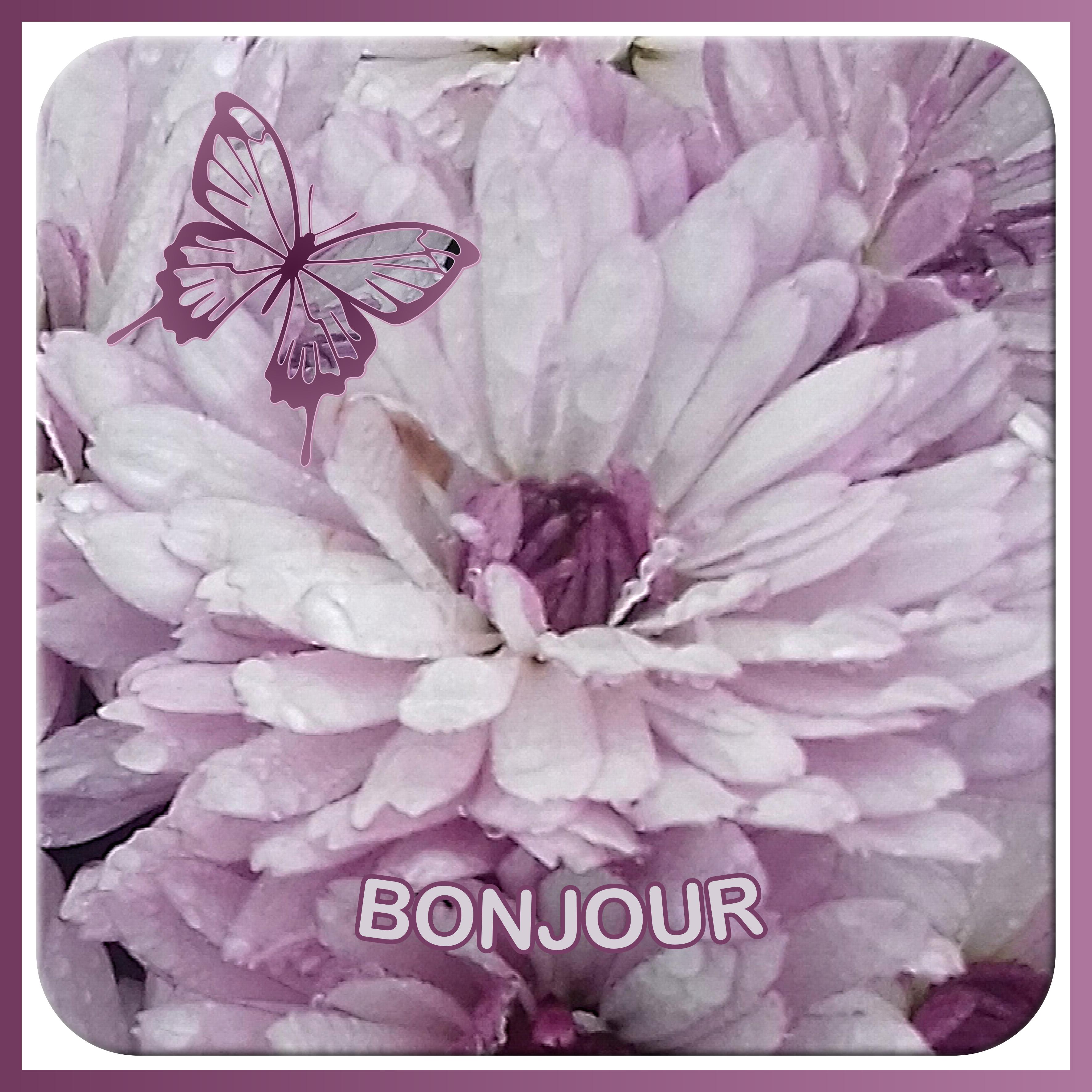 J-n194 - BONJOUR.jpg