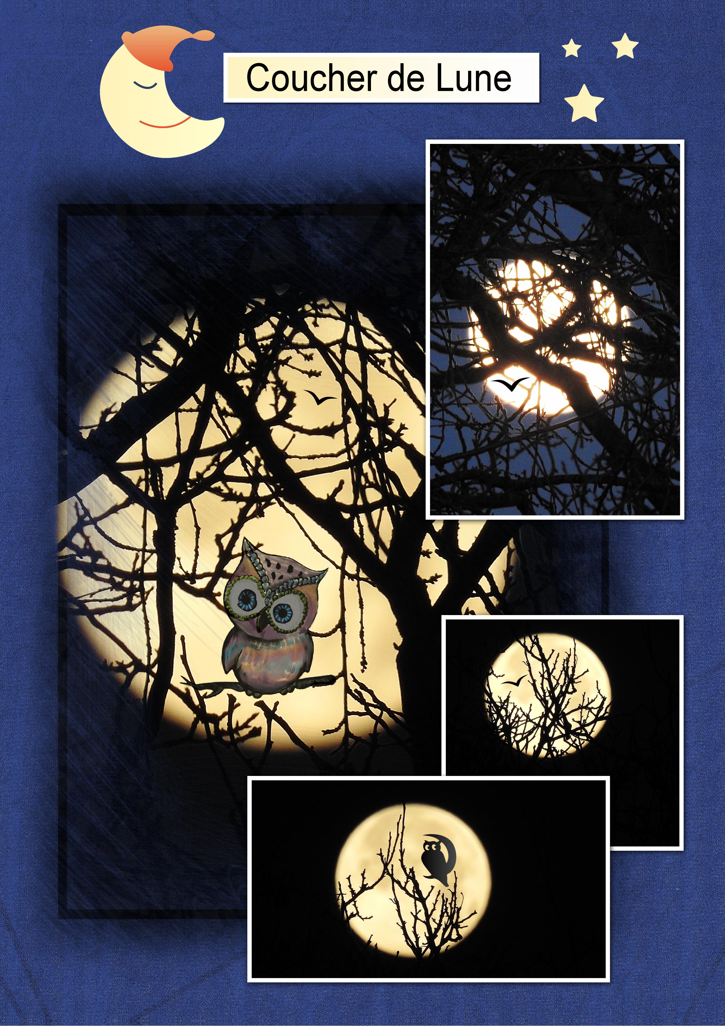 J-n196 - COUCHER DE LUNE.jpg