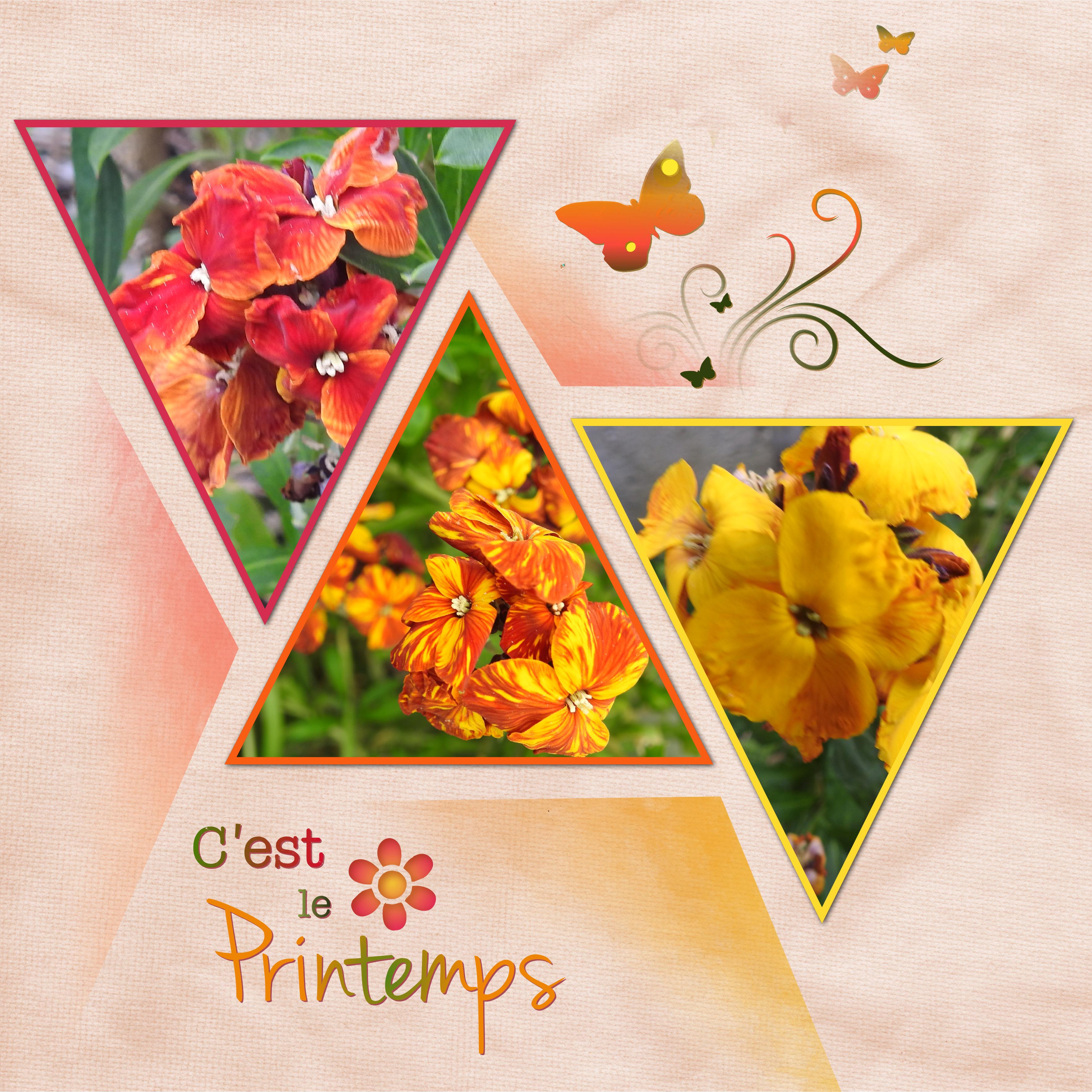 J-n2 - C'EST LE PRINTEMPS.jpg