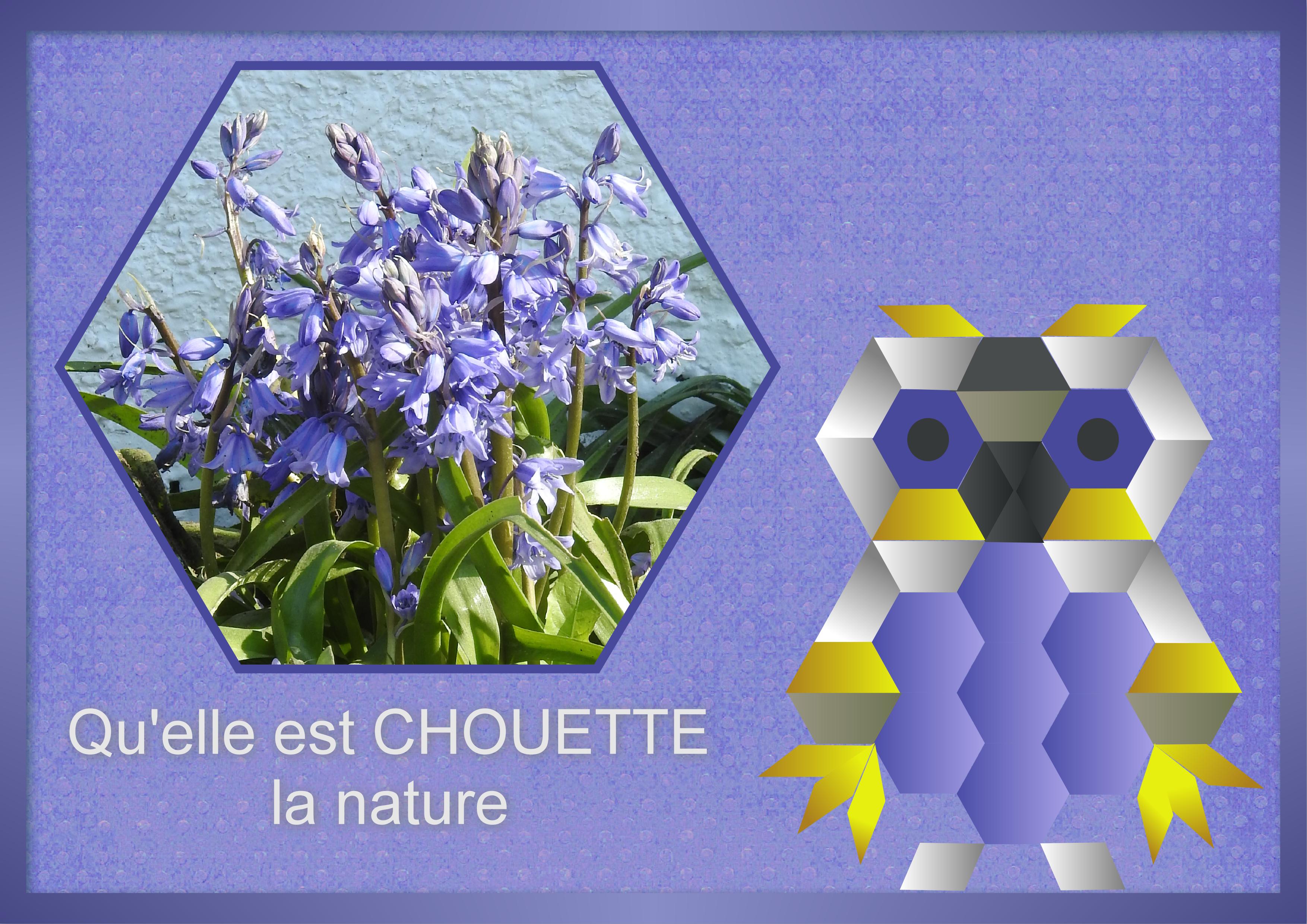 J-n20 - QU'ELLE EST CHOUETTE LA NATURE.jpg