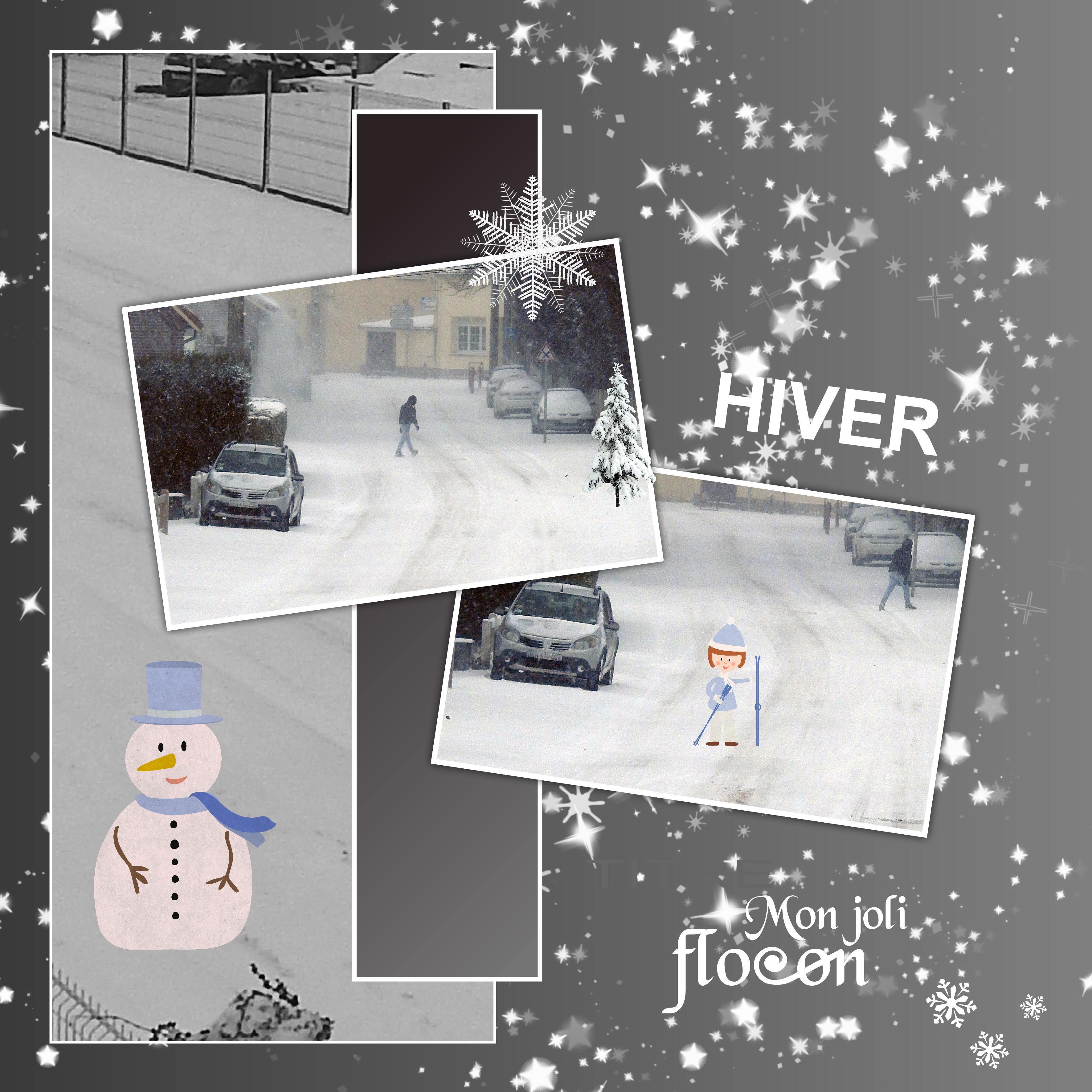 J-n201 - MON JOLI FLOCON.jpg