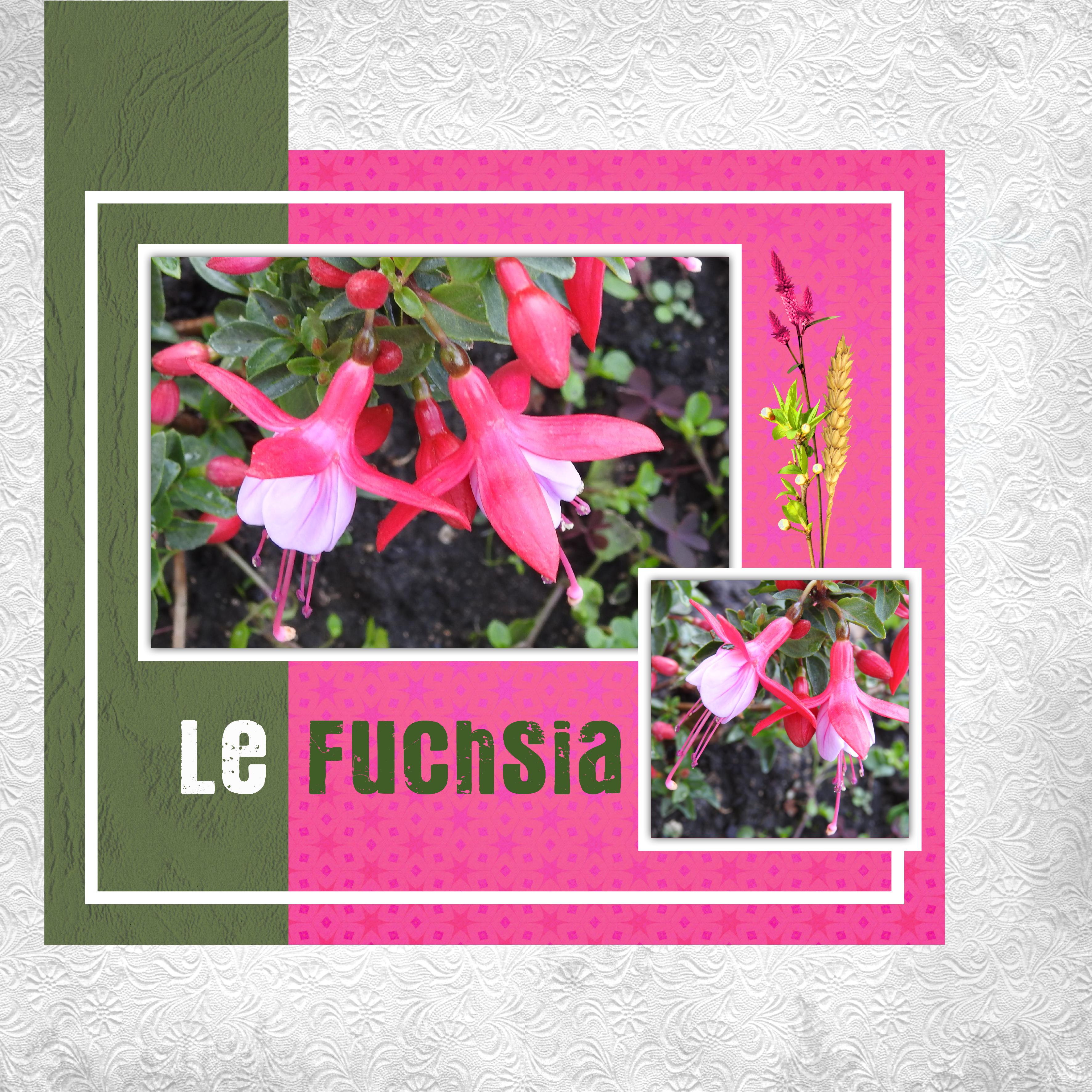 J-n206 - LE FUCHSIA.jpg