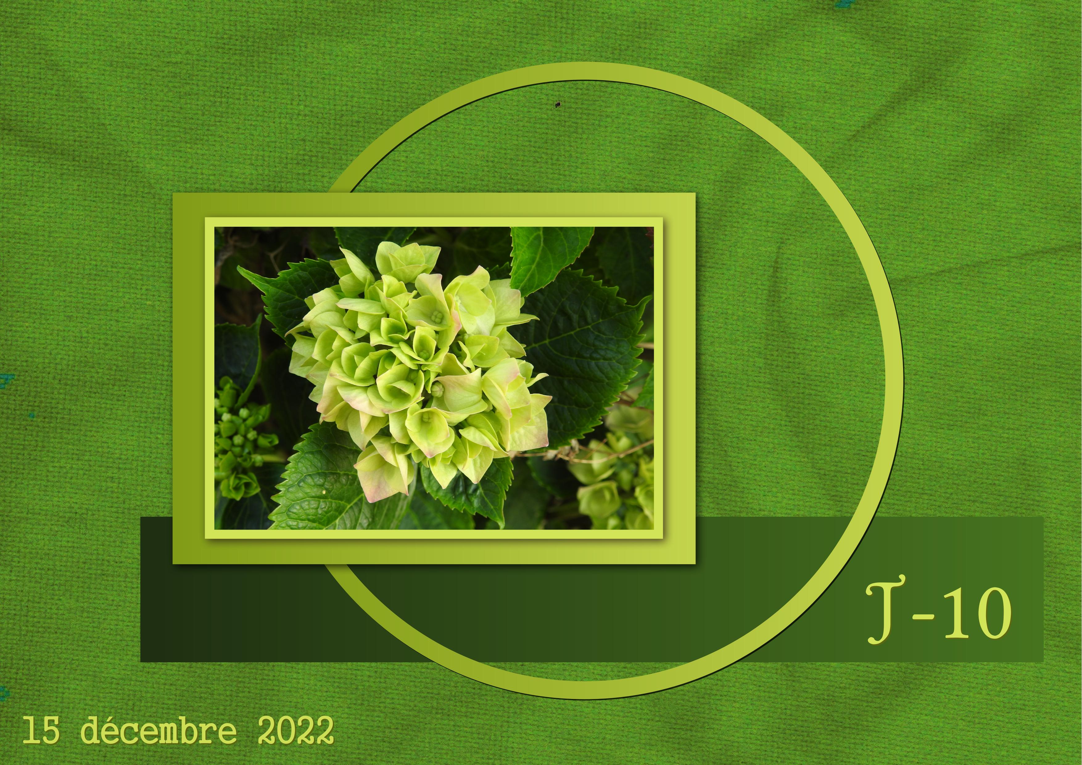 J-N21 - AVENT-10.jpg