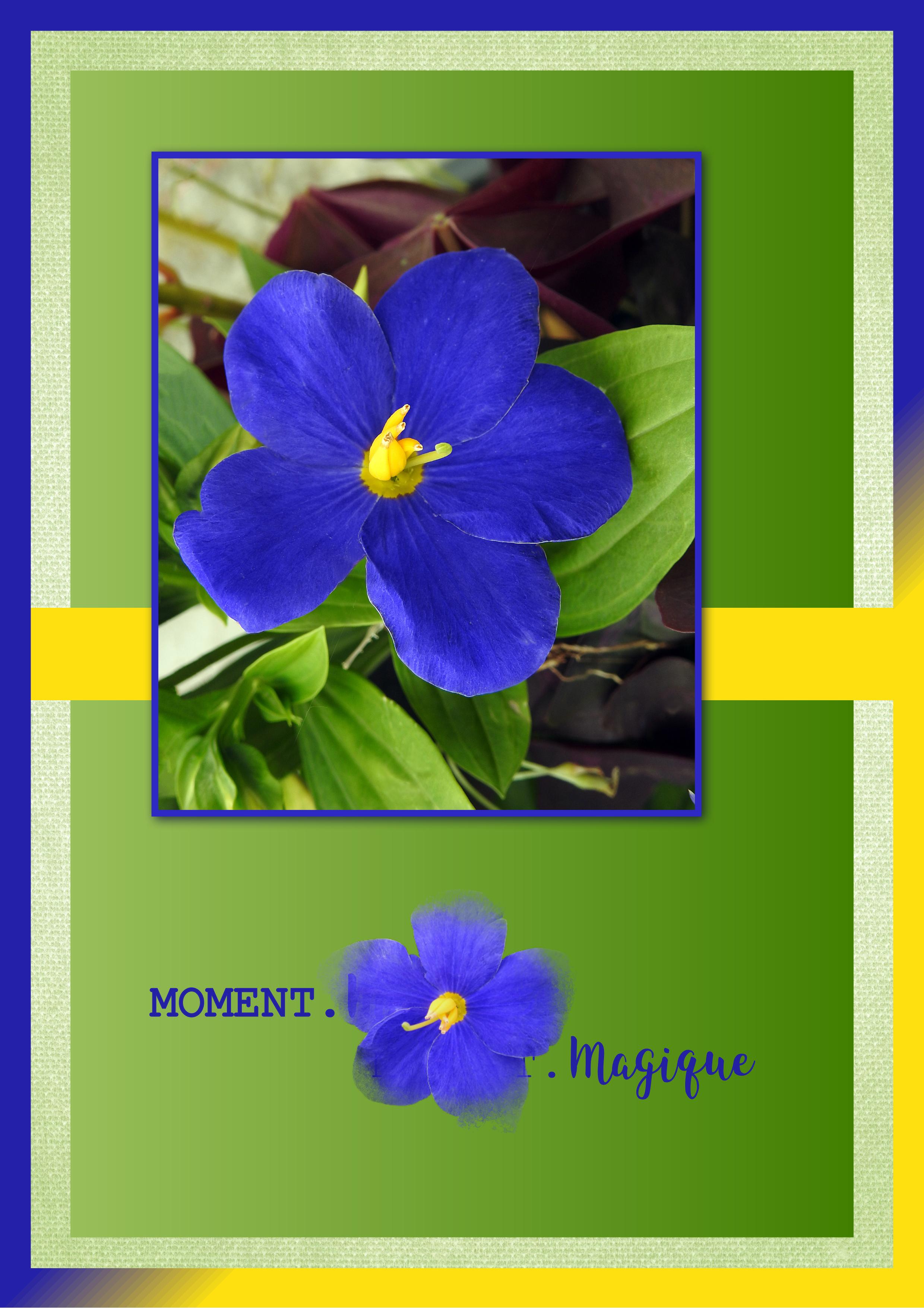 J-n21 - MOMENT MAGIQUE.jpg