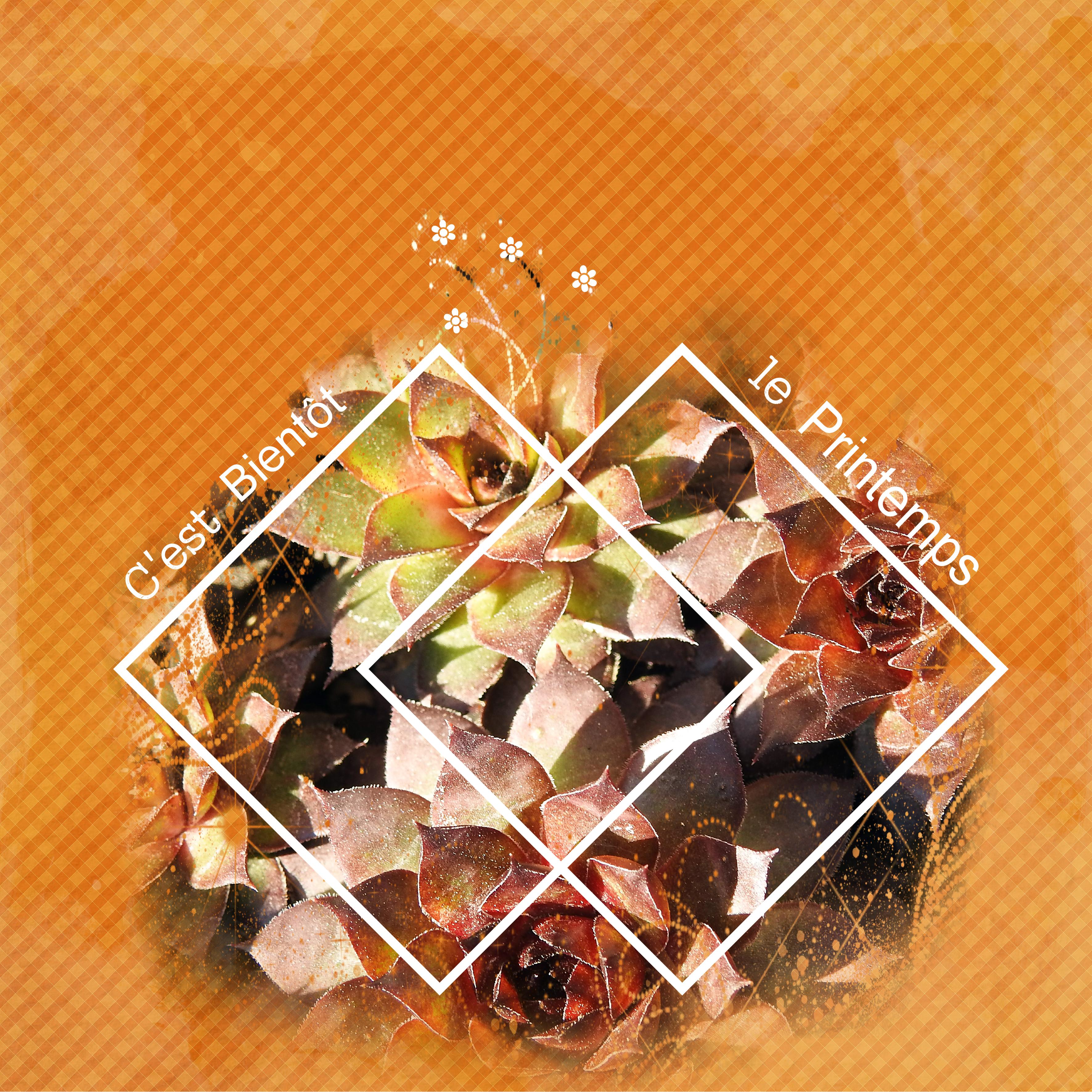 J-n210 - C'EST BIENTOT LE PRINTEMPS.jpg