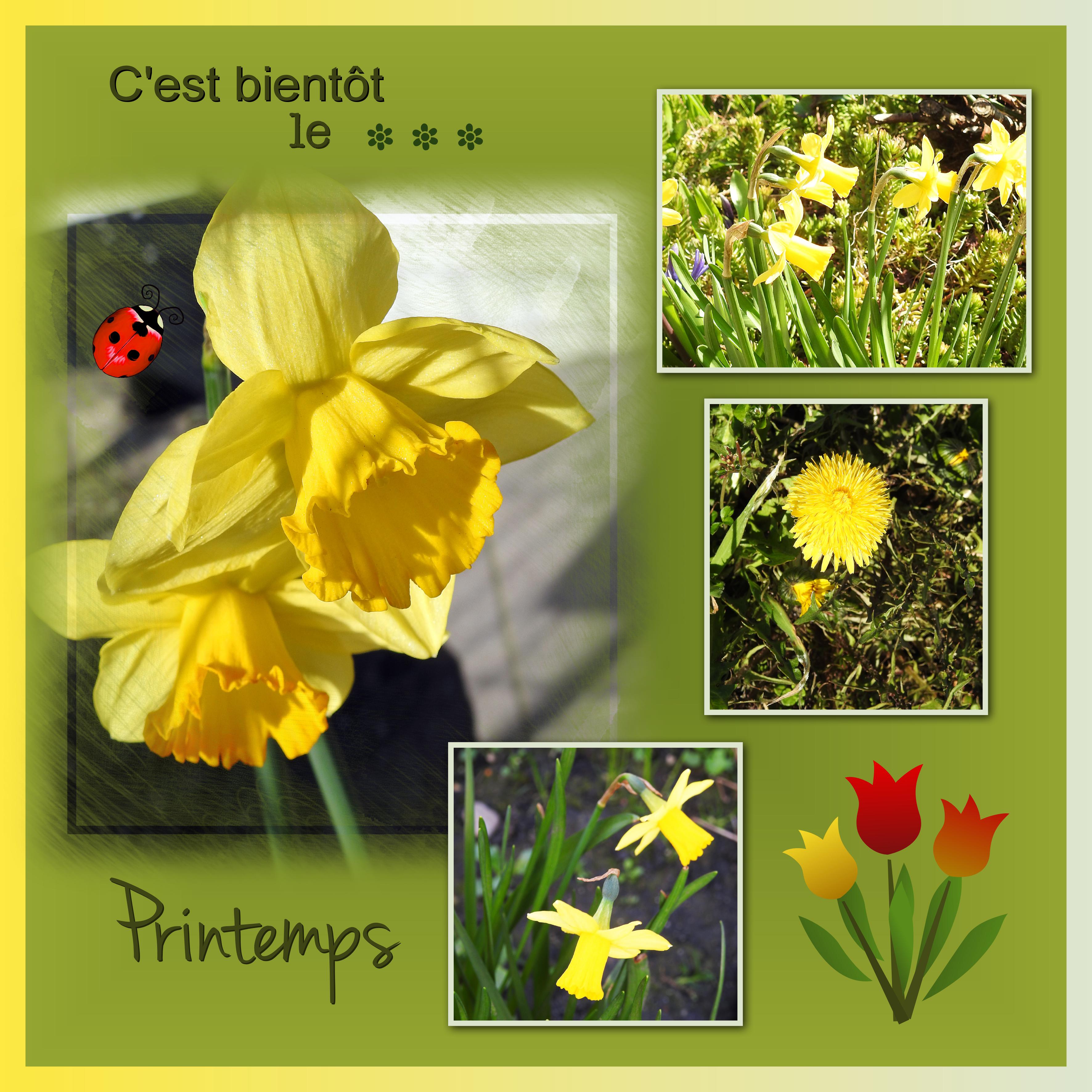 J-n213 - C'EST BIENTOT LE ...   .jpg