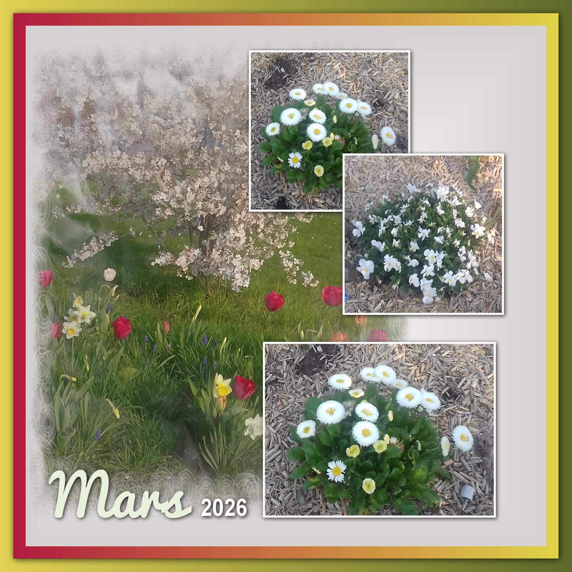 J-n217 - MARS 2026 .jpg