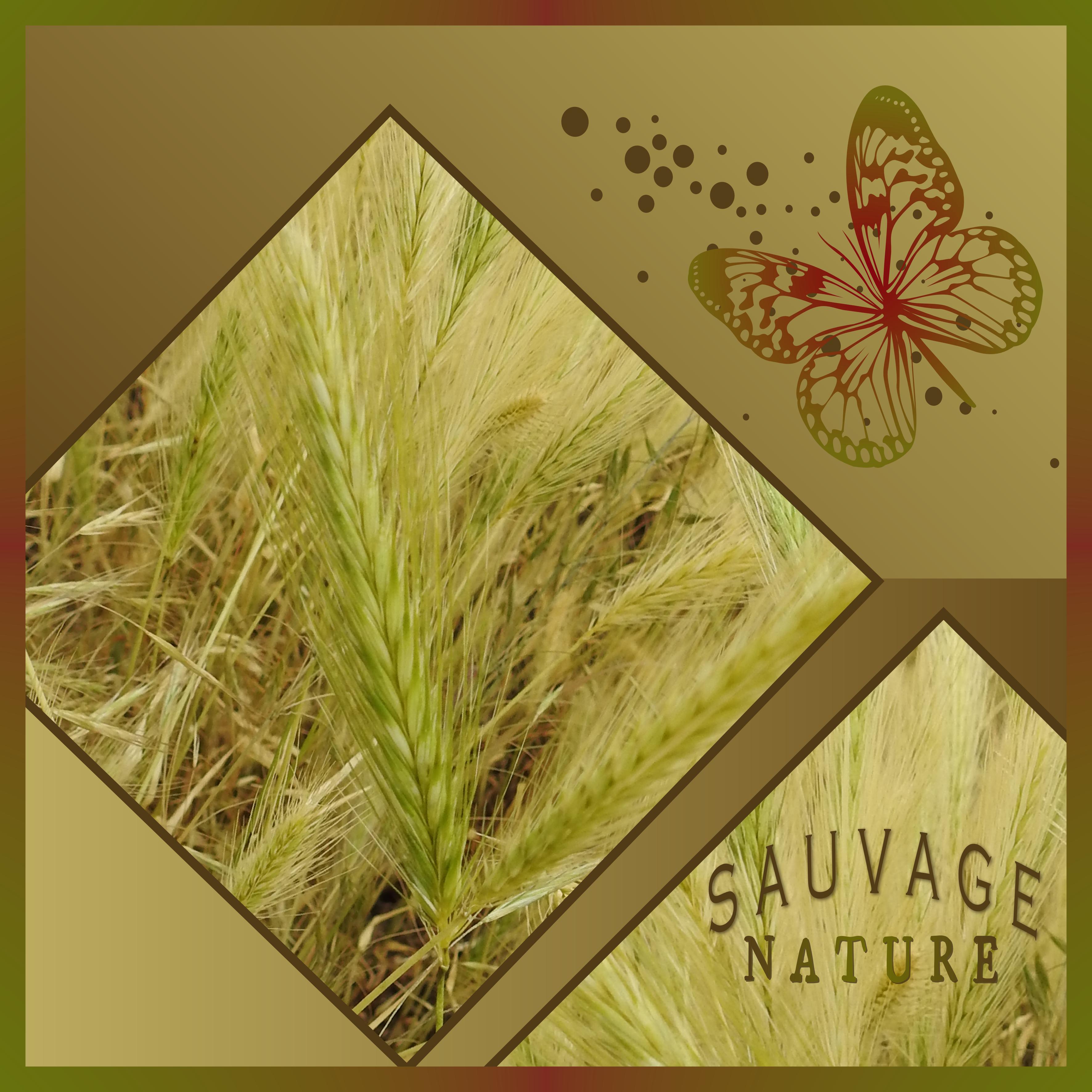 J-n22 - NATURE SAUVAGE.jpg