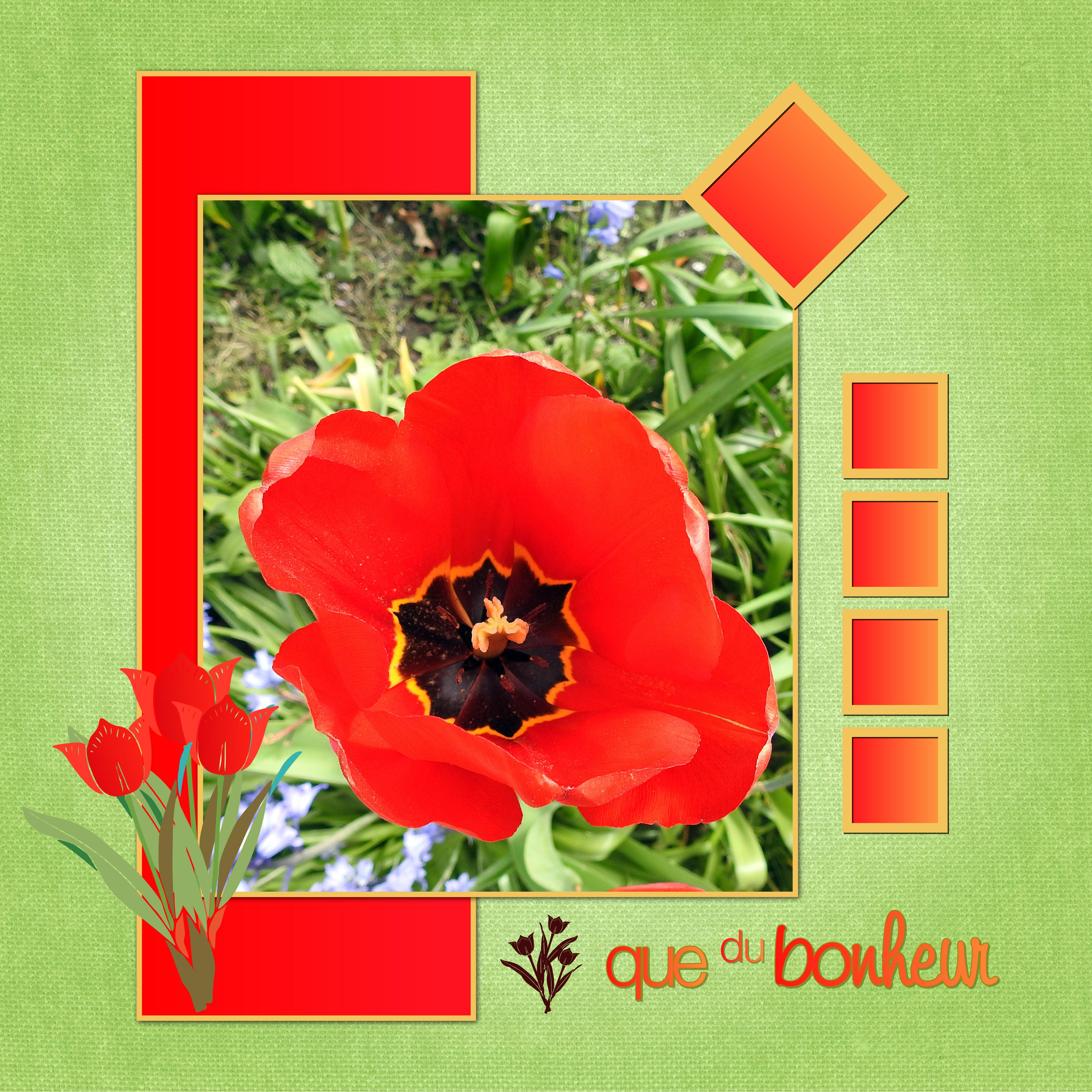 J-n222 - QUE DU BONHEUR.jpg