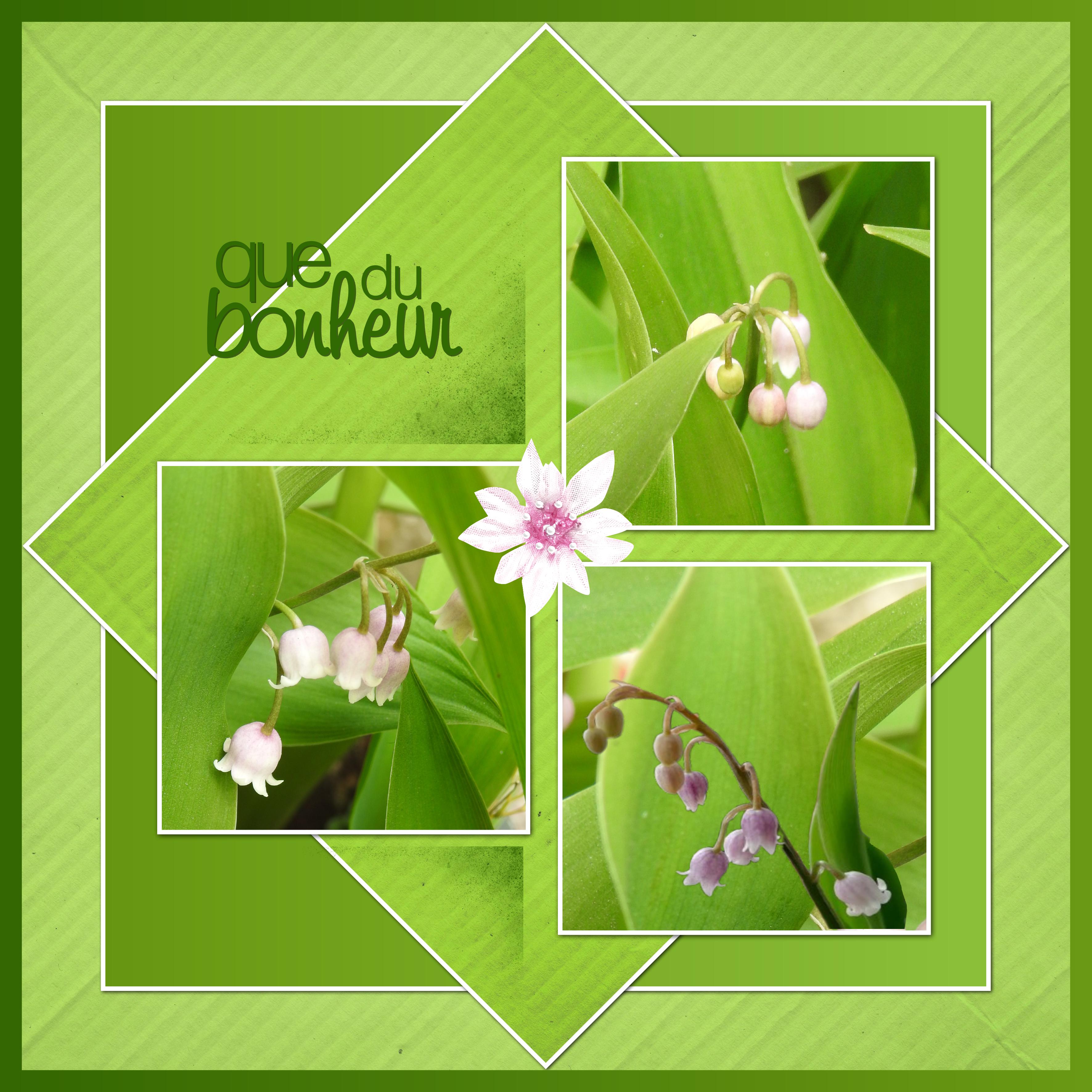 J-n224 - QUE DU BONHEUR.jpg