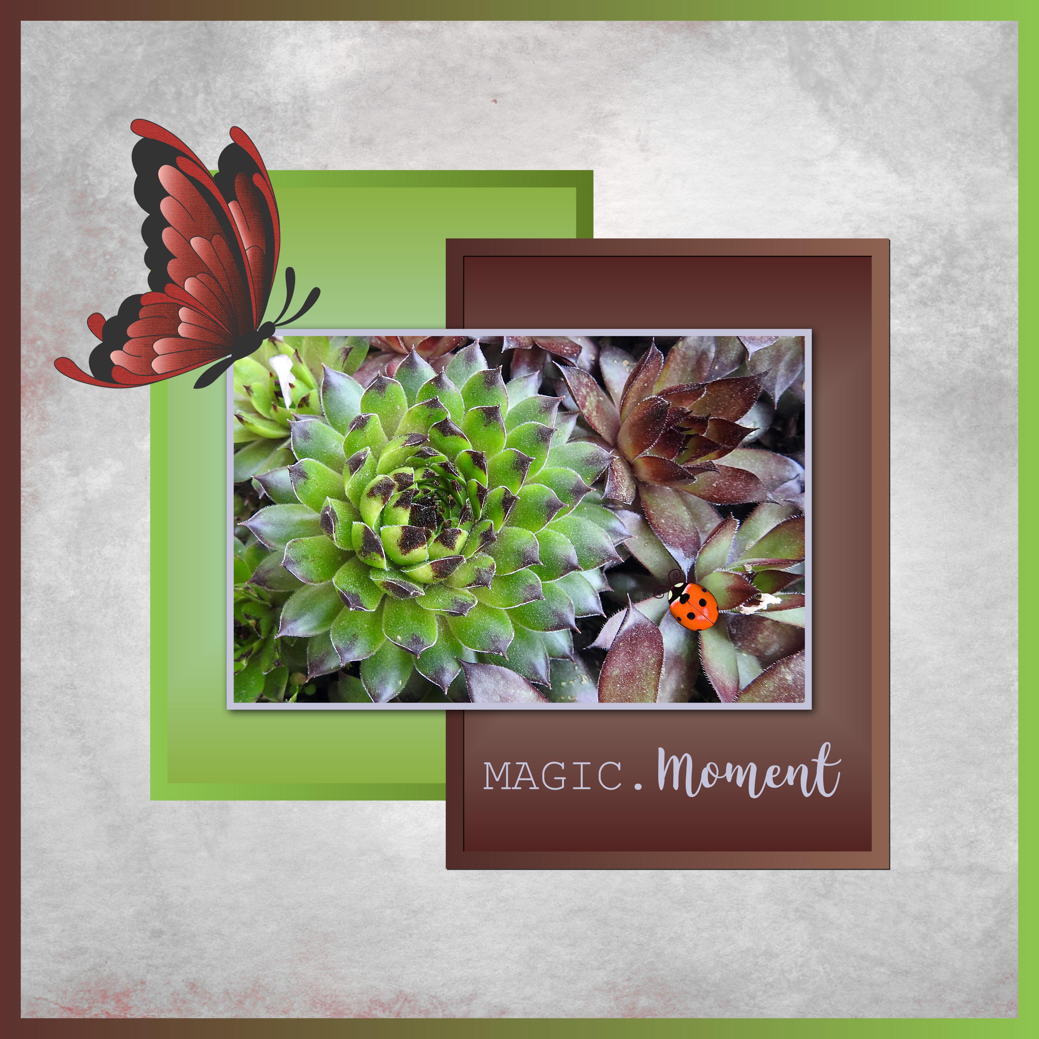 J-n225 - MAGIC MOMENT.jpg