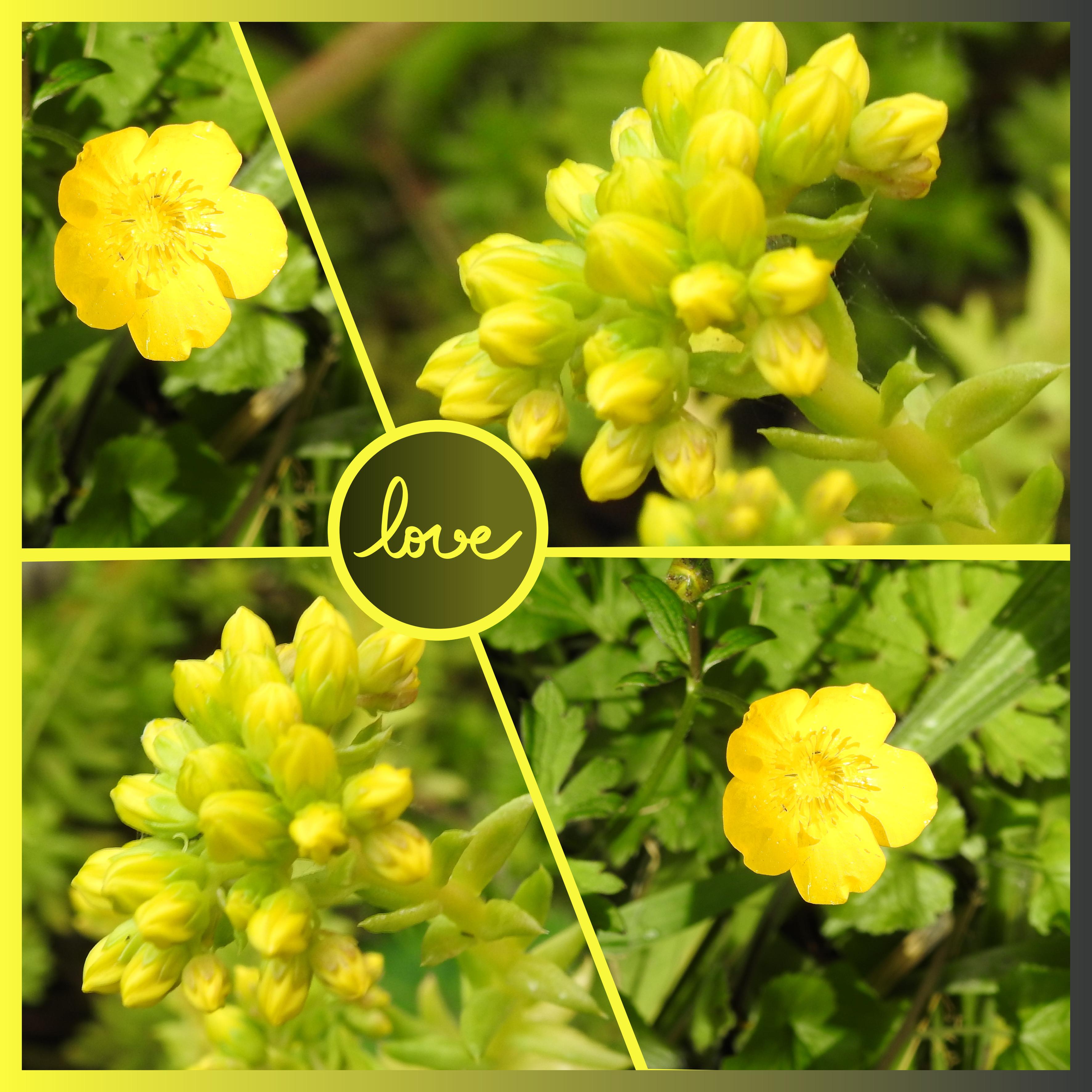 J-n230 - LOVE.jpg