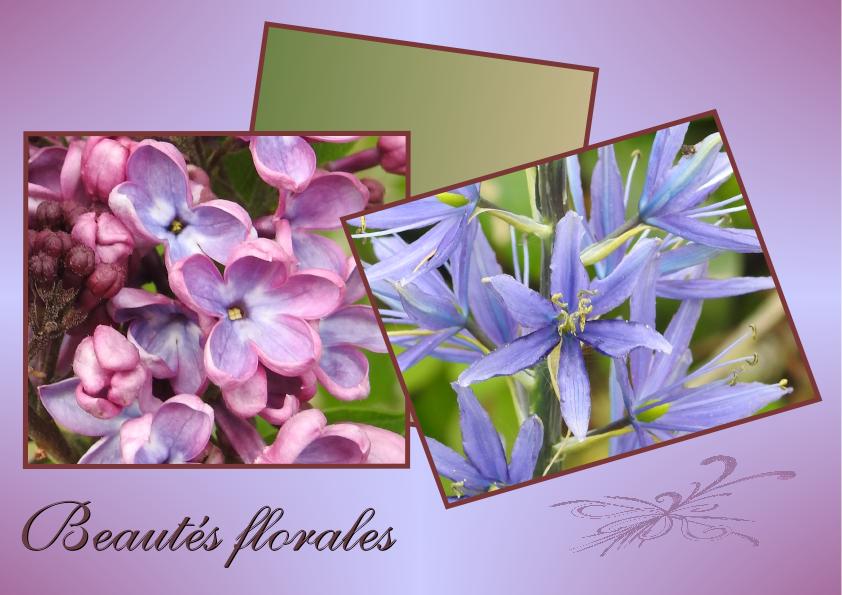 J-n24 - BEAUTES FLORALES.jpg