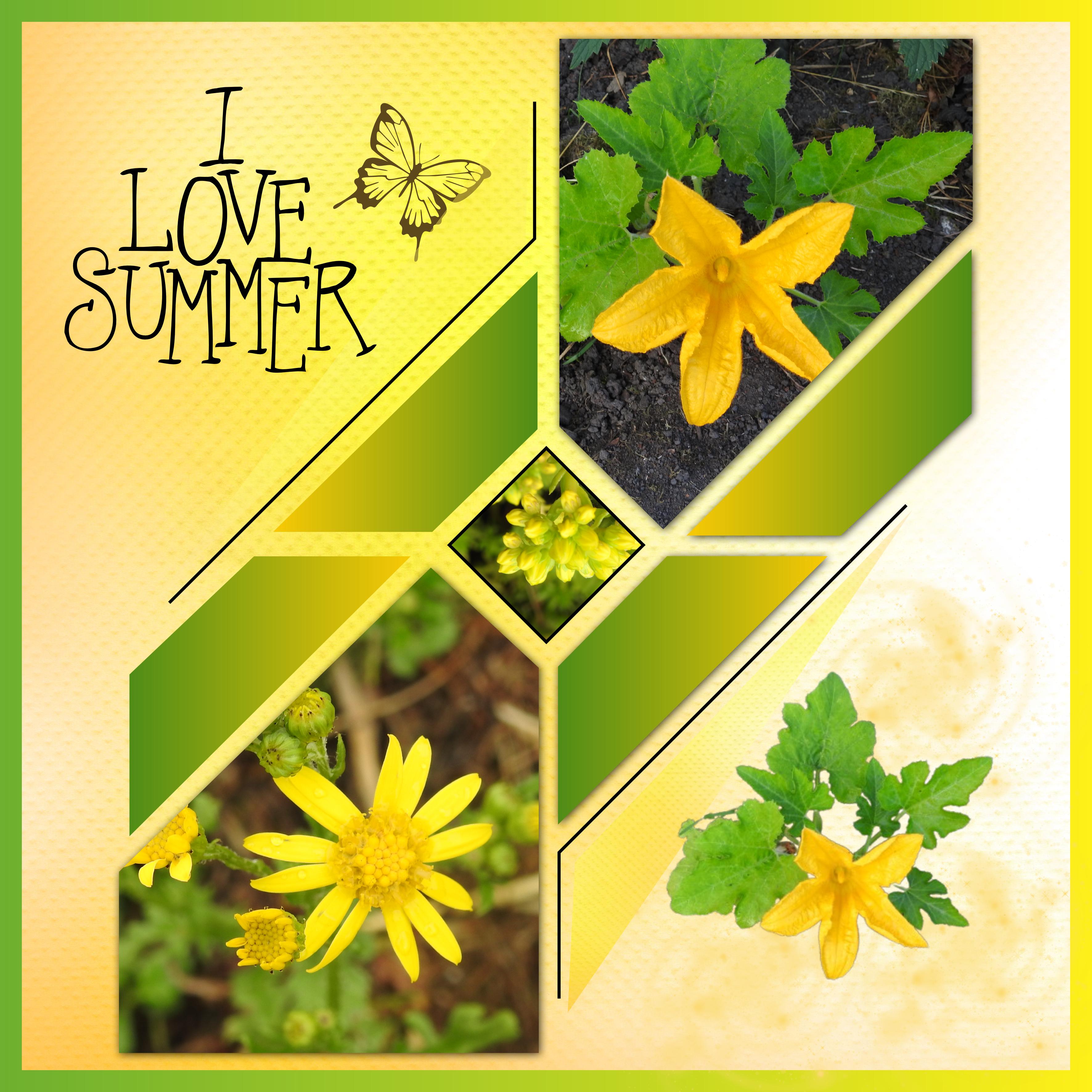J-n246 - I LOVE SUMMER.jpg