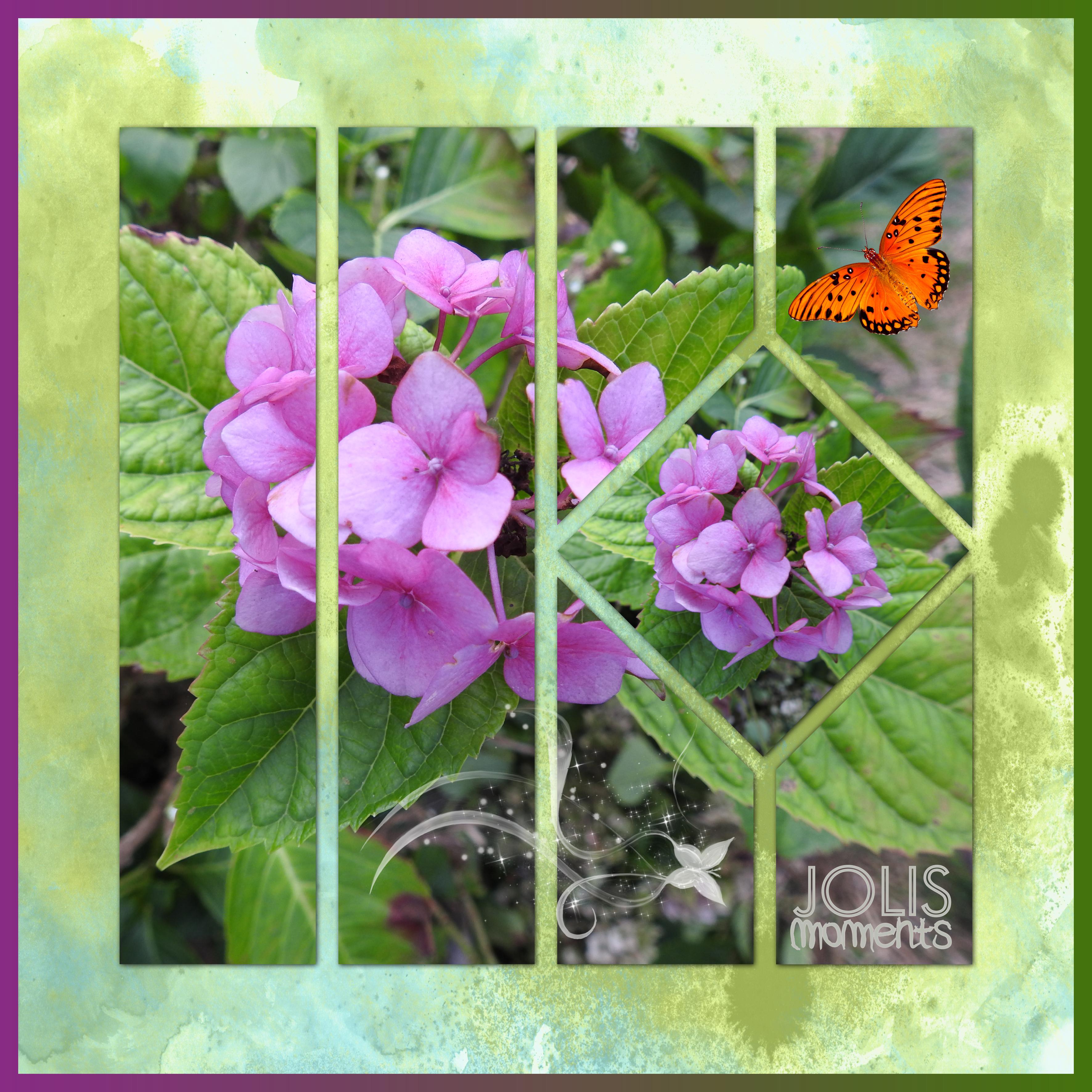 J-n250 - JOLIS MOMENTS.jpg