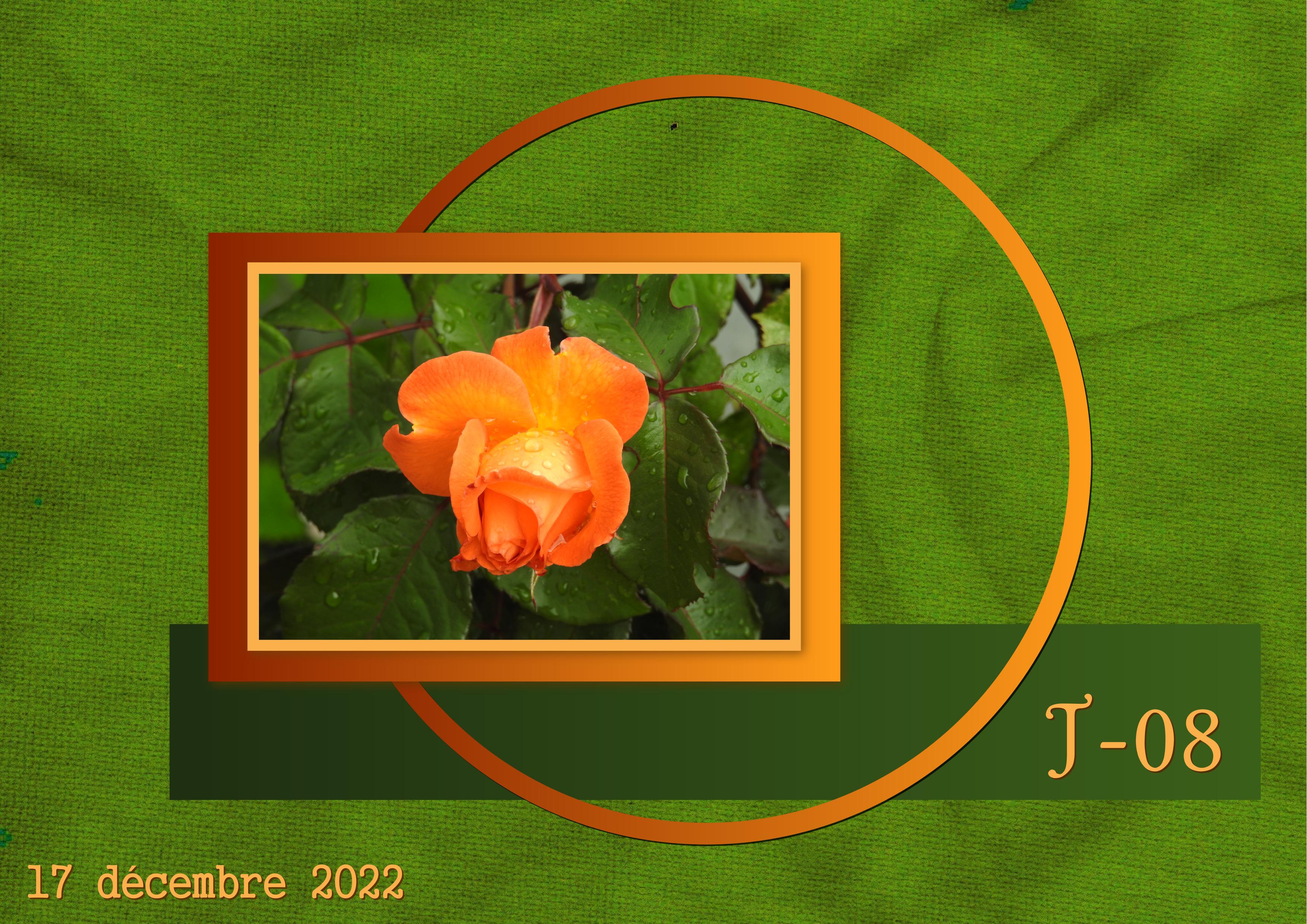 J-N26 - AVENT-08.jpg