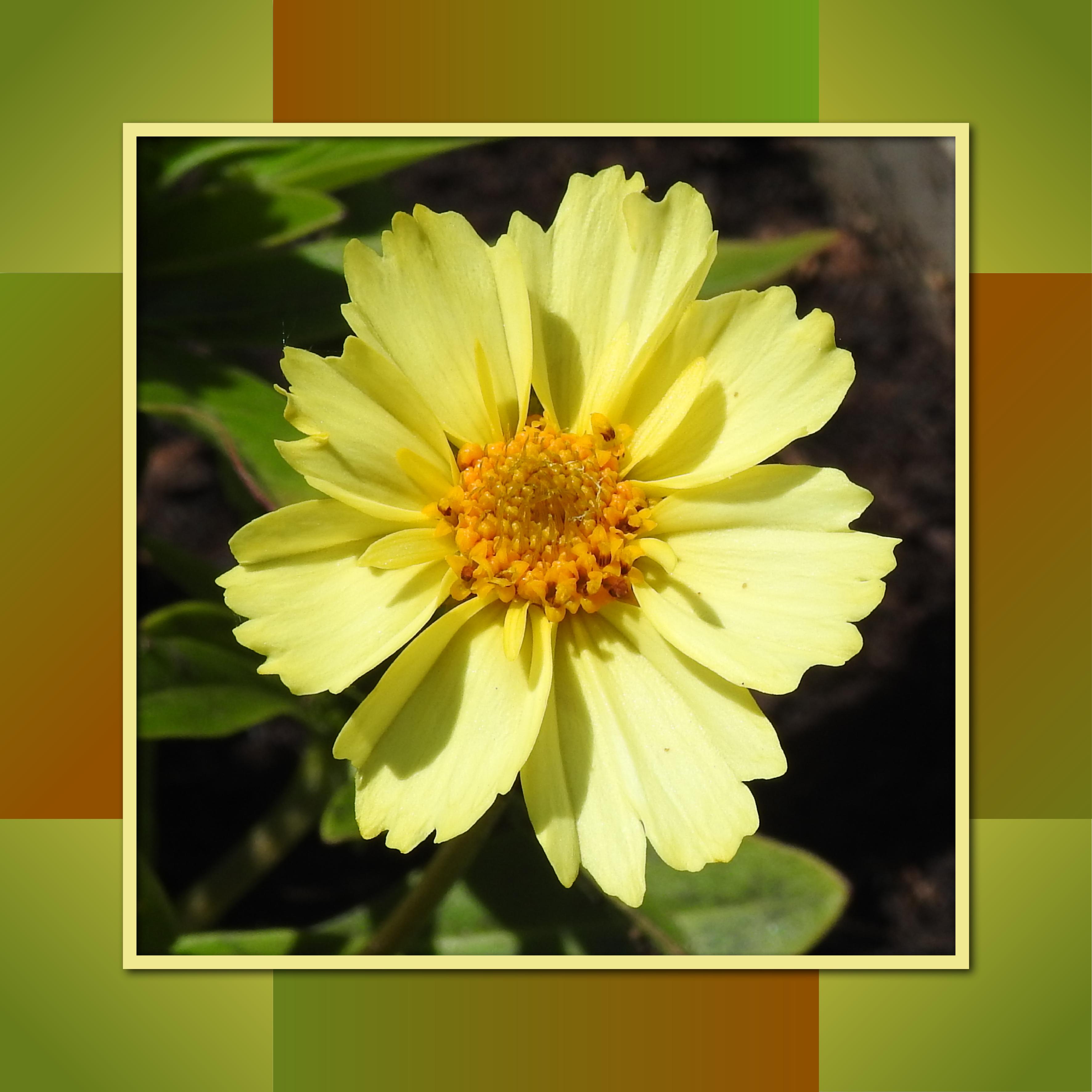 J-n26 - PLAISIR D'OFFRIR.jpg