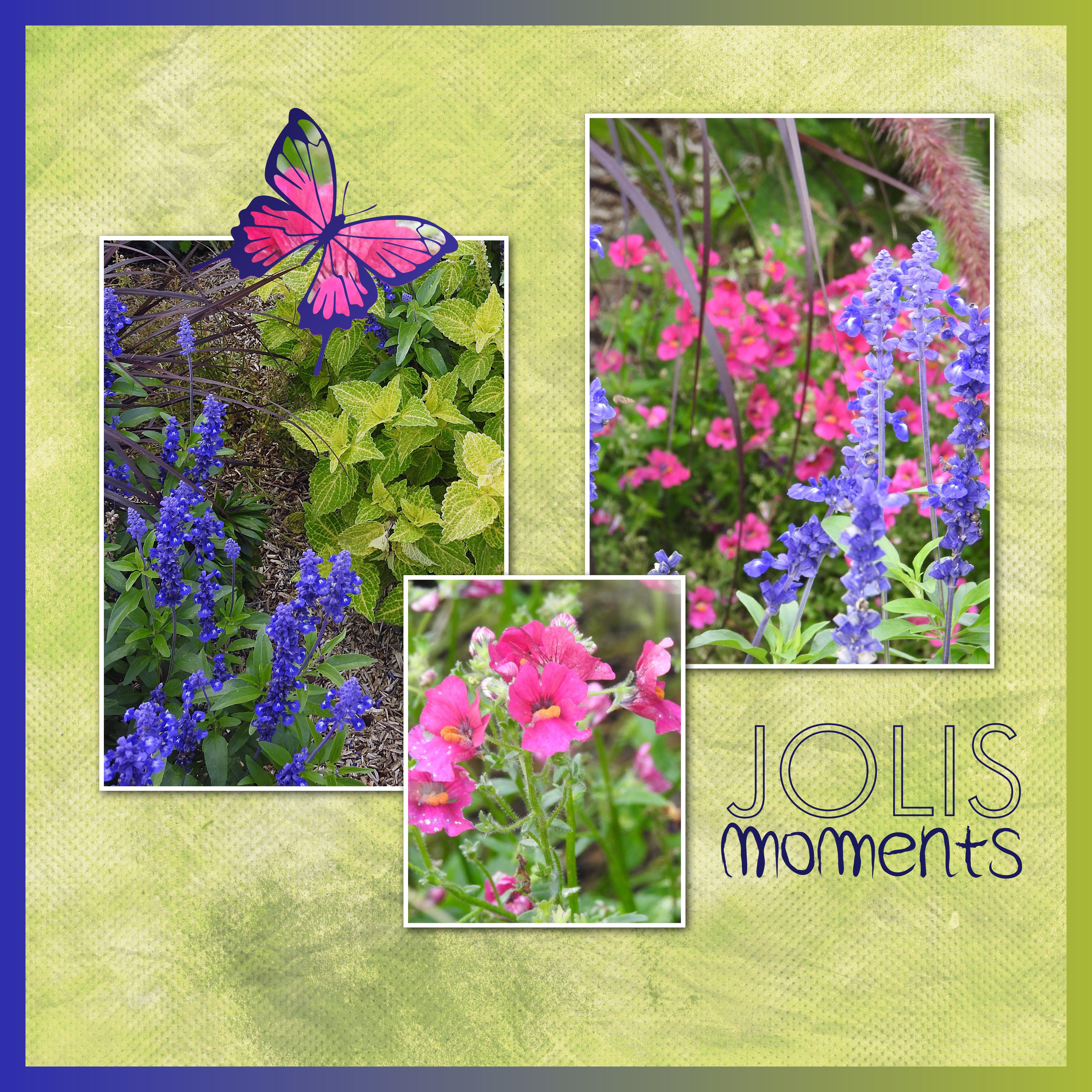 J-n27 - JOLIS MOMENTS.jpg