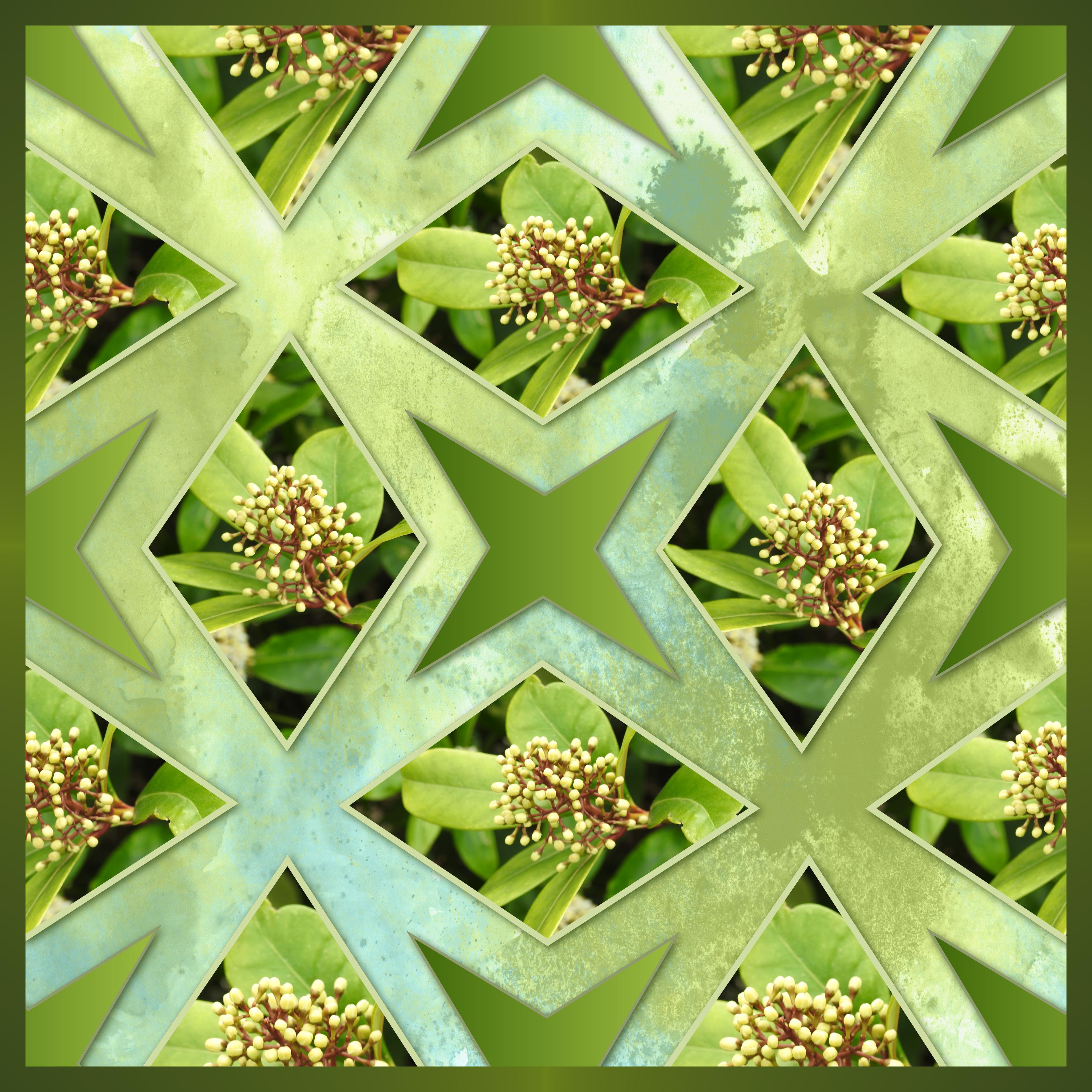 J-n28 - BEAUTES FLORALES.jpg