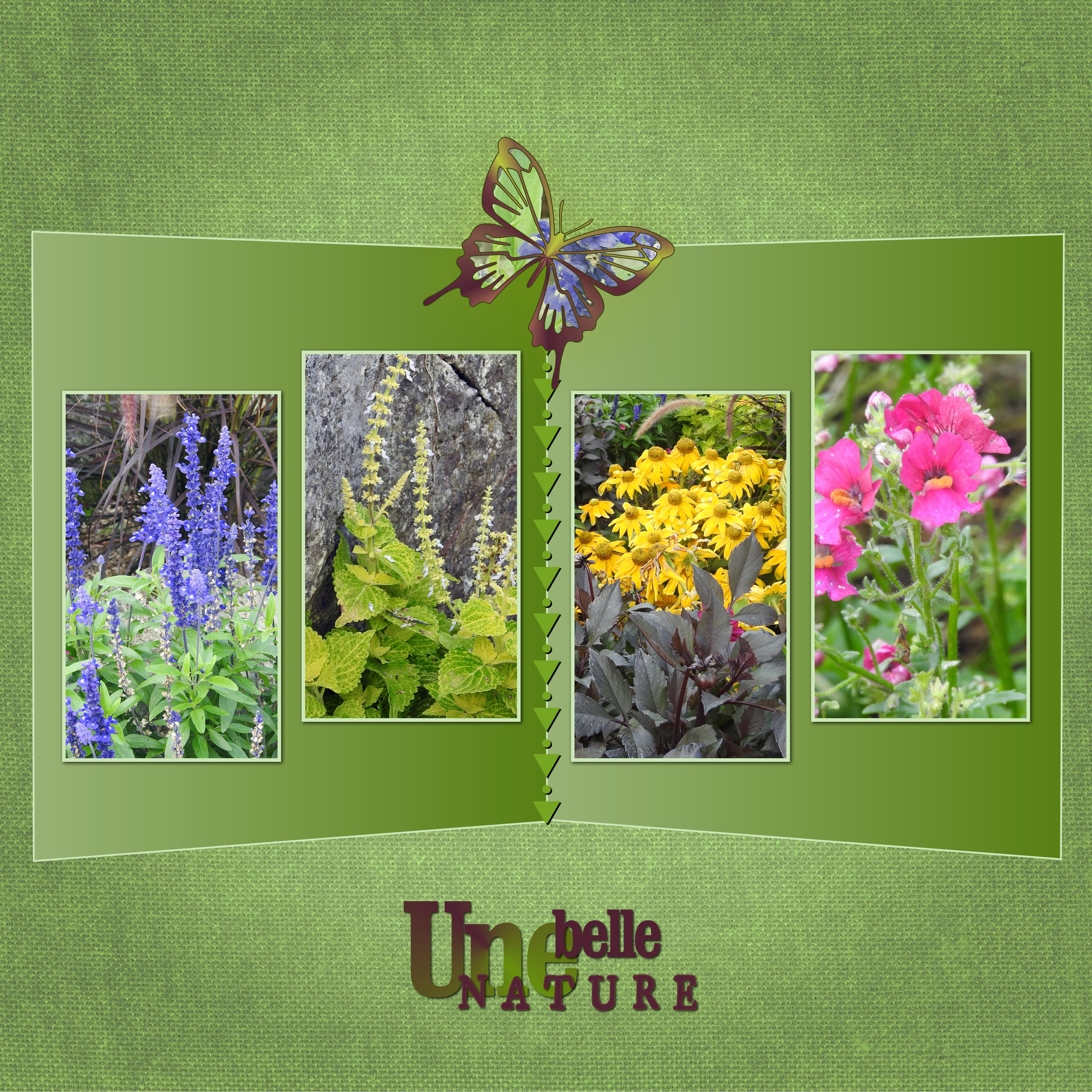 J-n29 - UNE BELLE NATURE.jpg