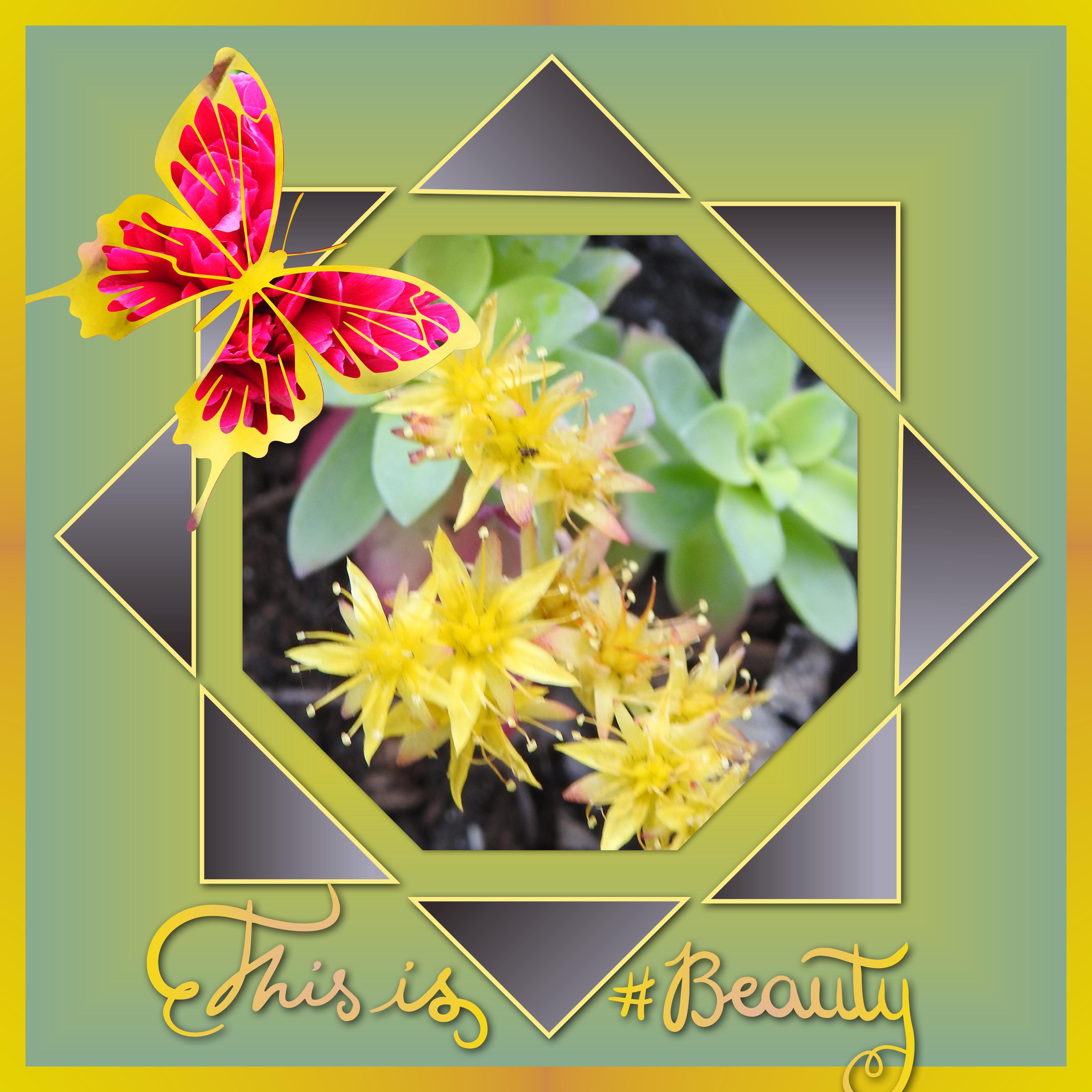 J-n3 -THIS IS BEAUTY.jpg