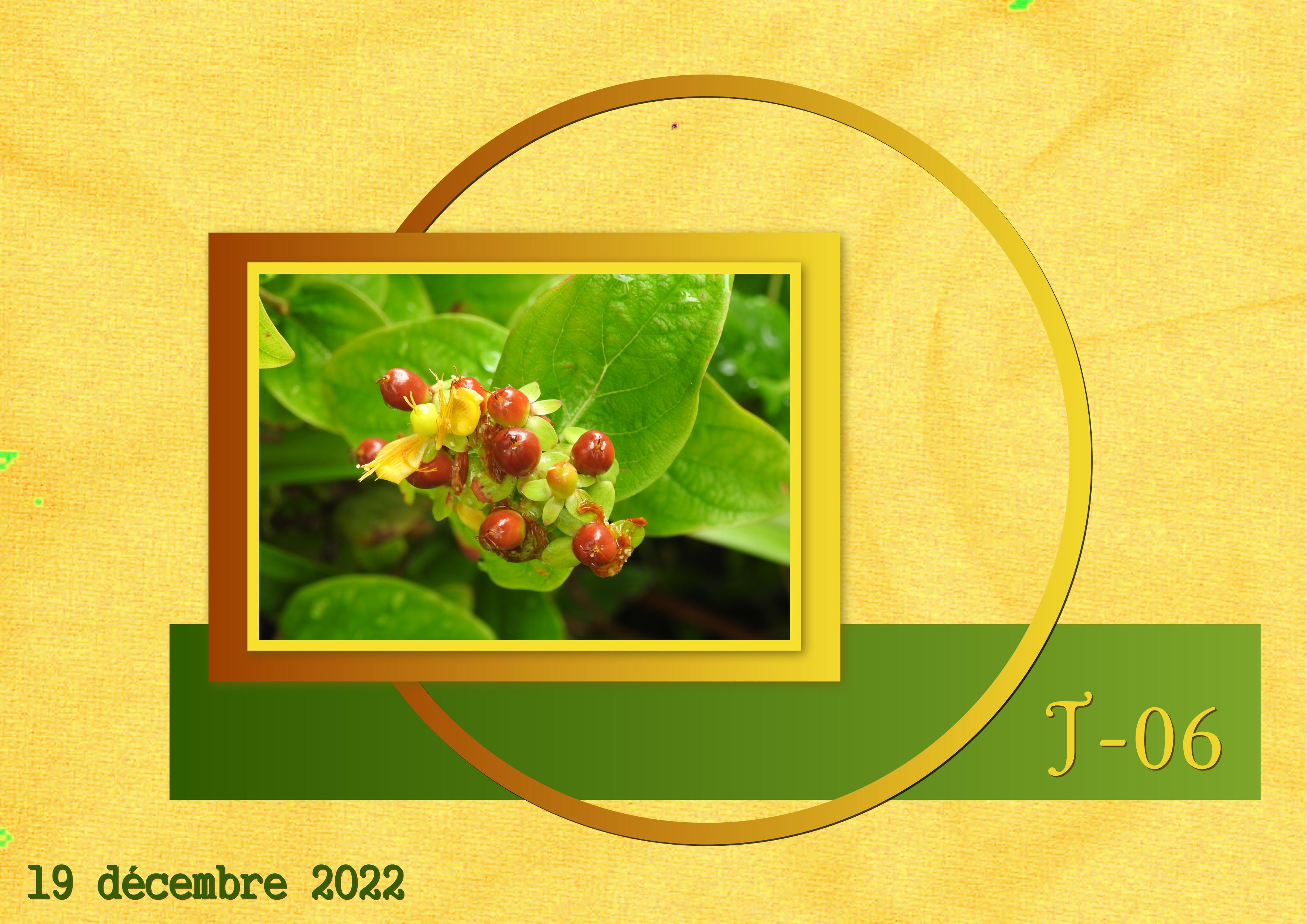 J-N30 - AVENT-06.jpg