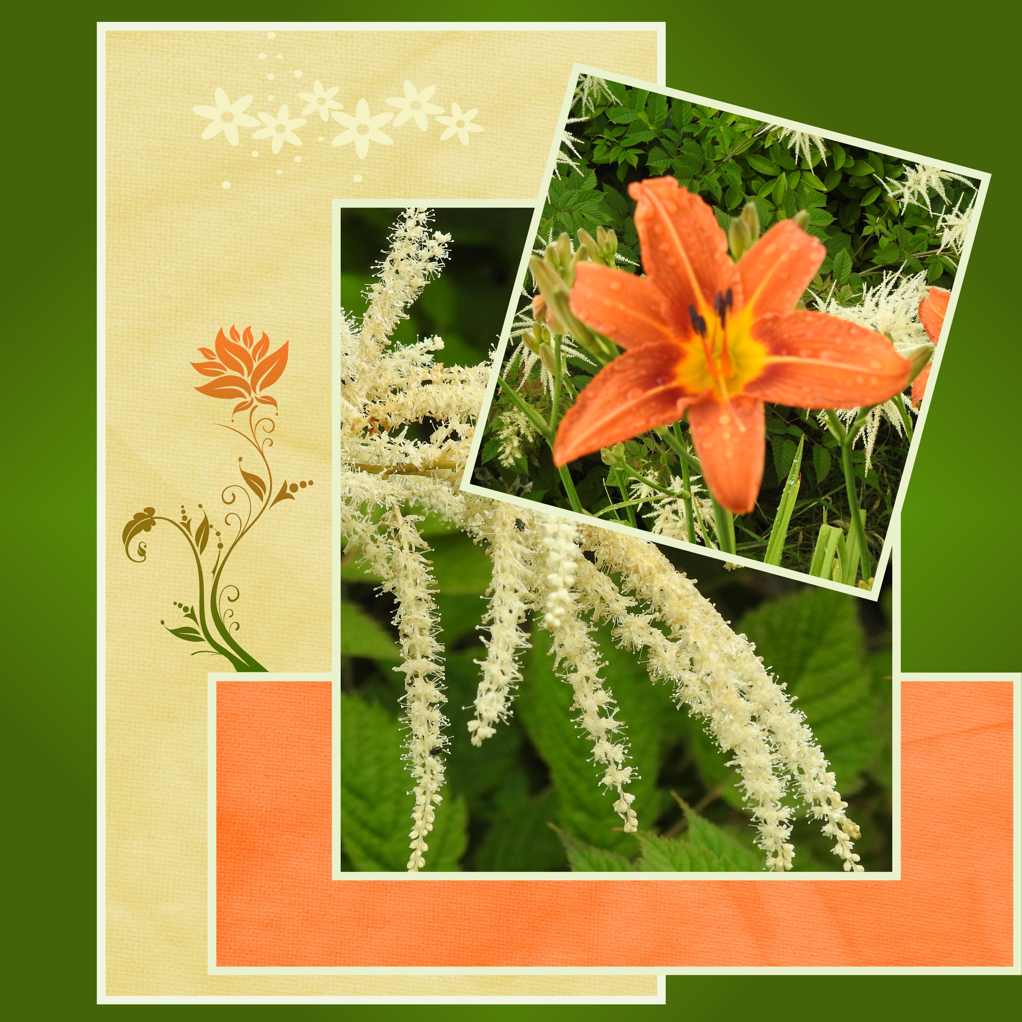 J-n30 - BELLE NATURE.jpg