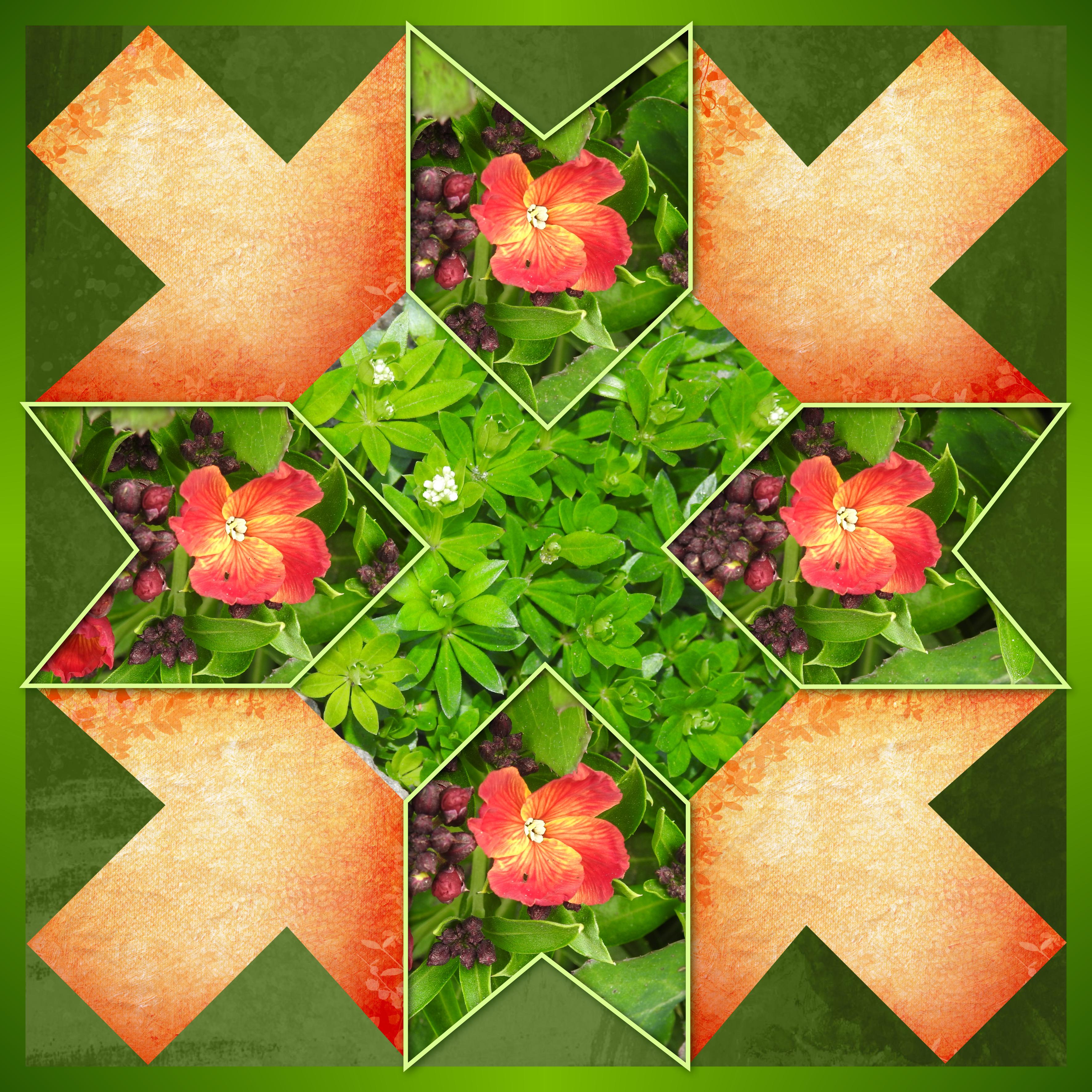 J-n30-FLEURS DE MON JARDIN.jpg