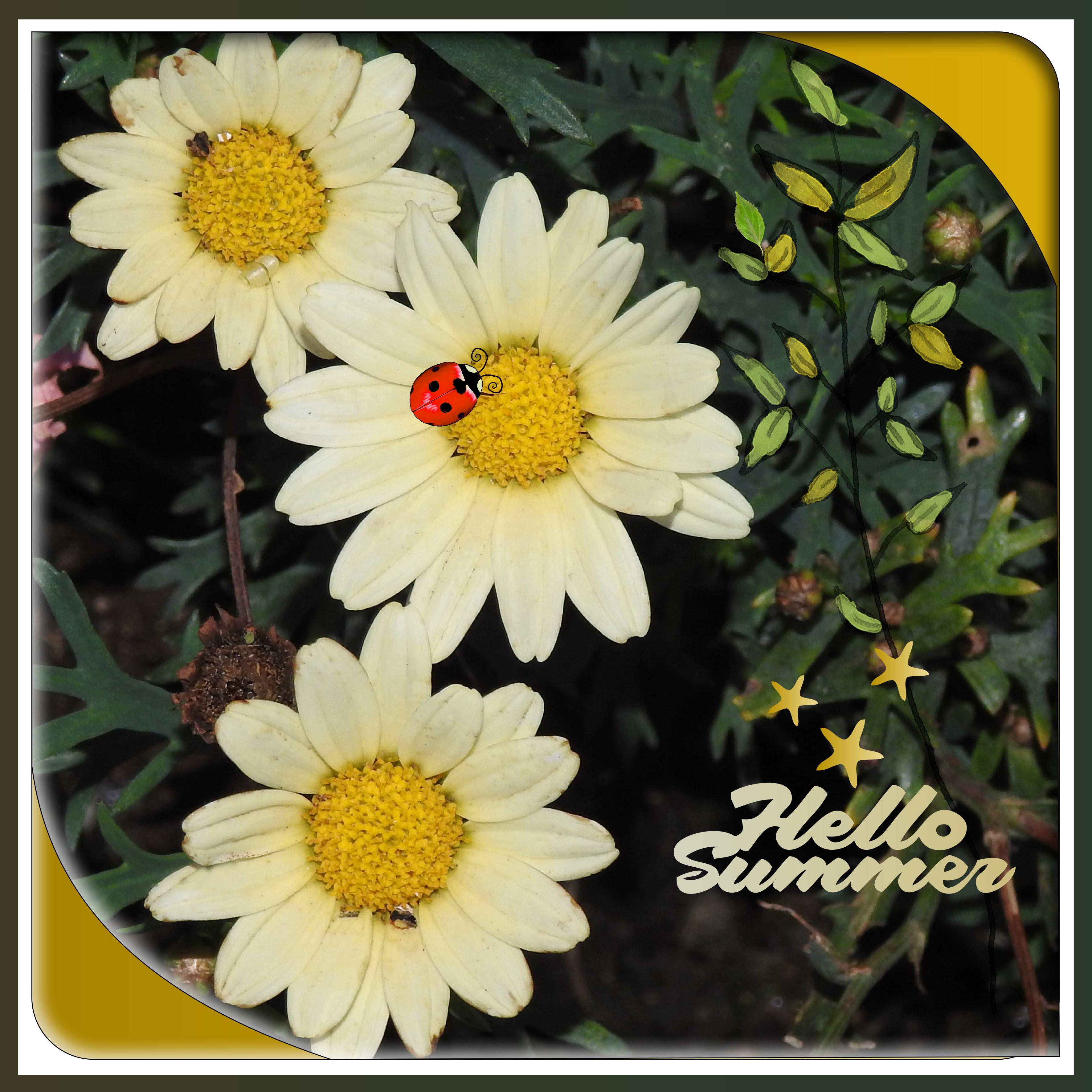 J-n30 - HELLO SUMMER.jpg