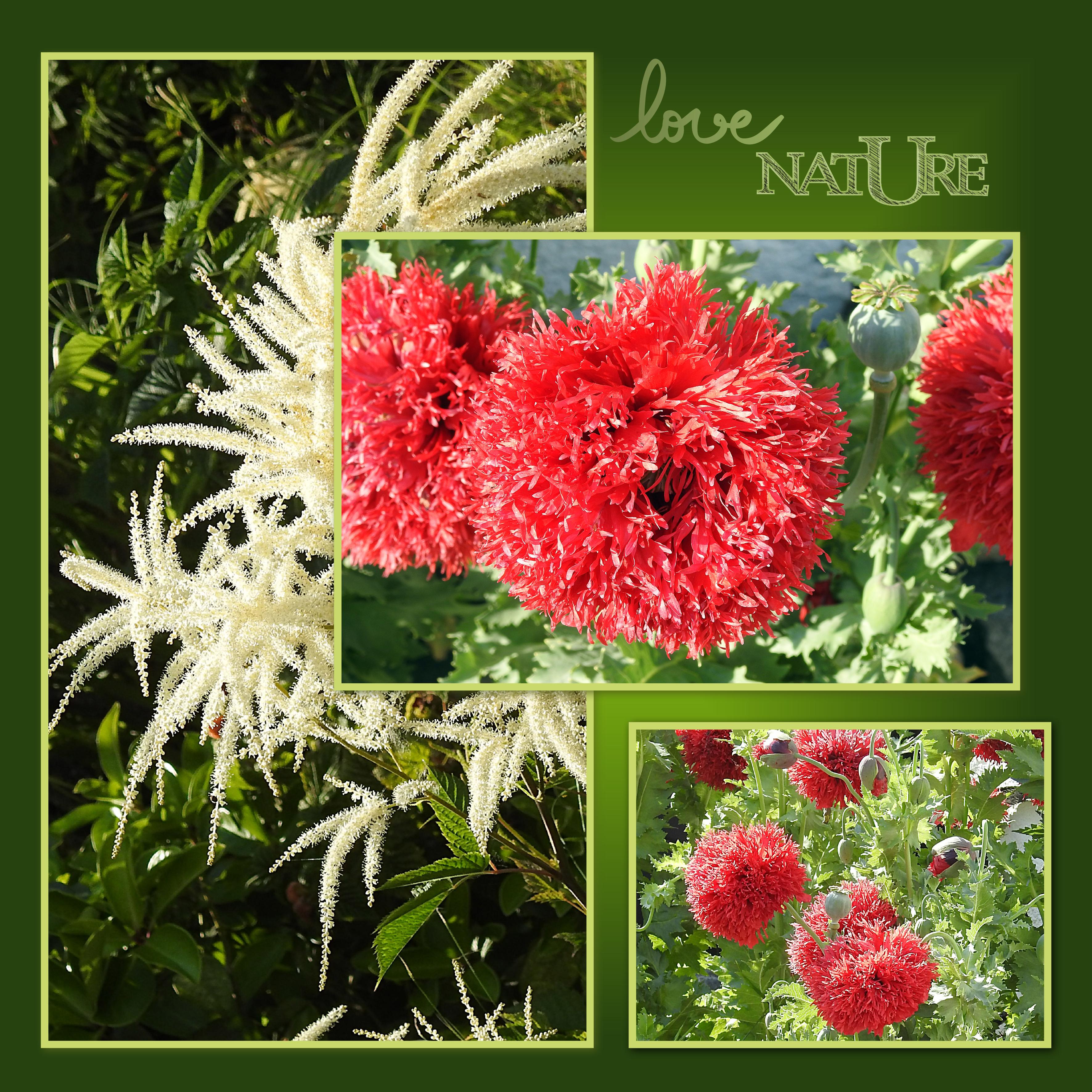 J-n32 - LOVE NATURE.jpg