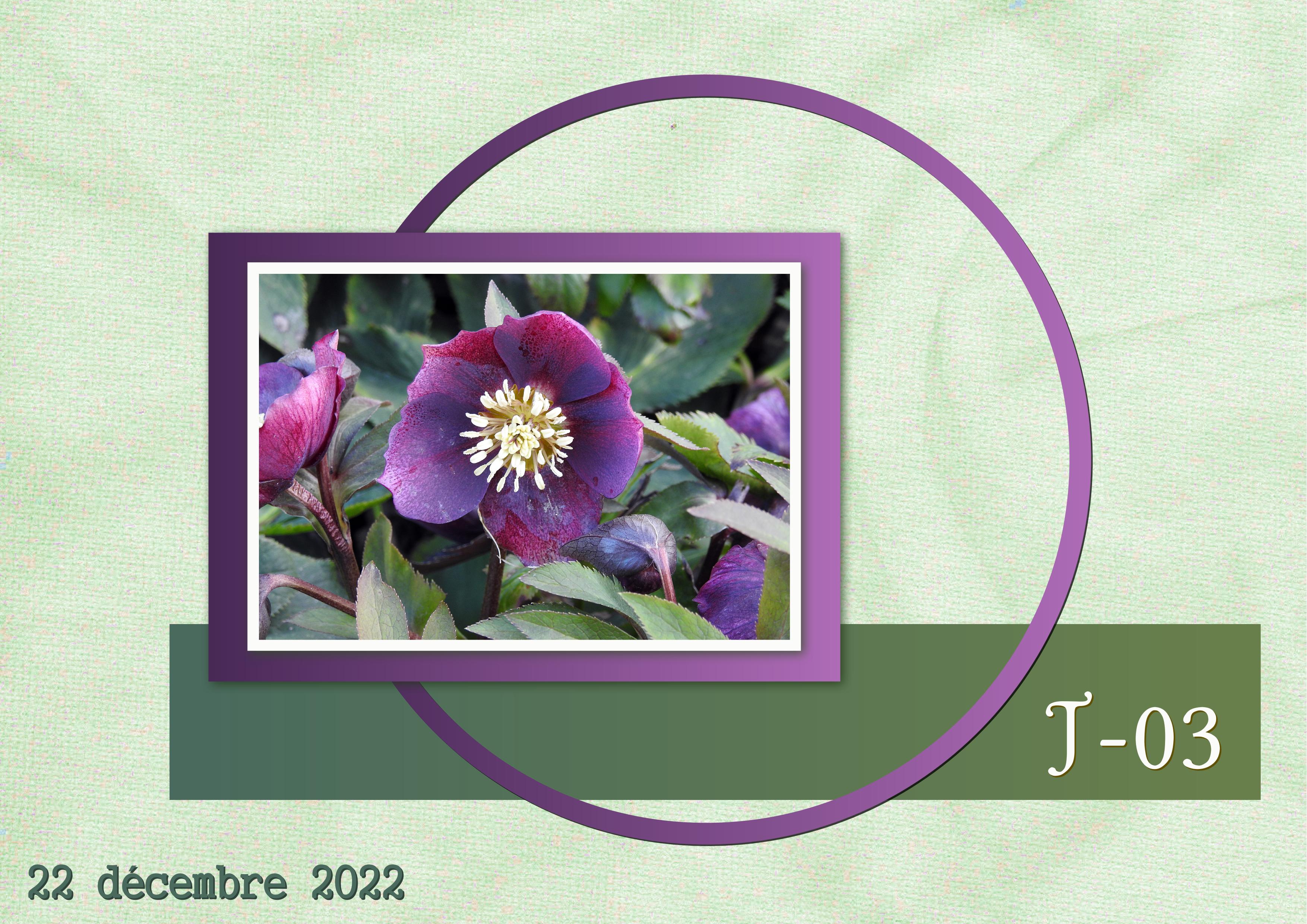 J-N33 - AVENT-03.jpg