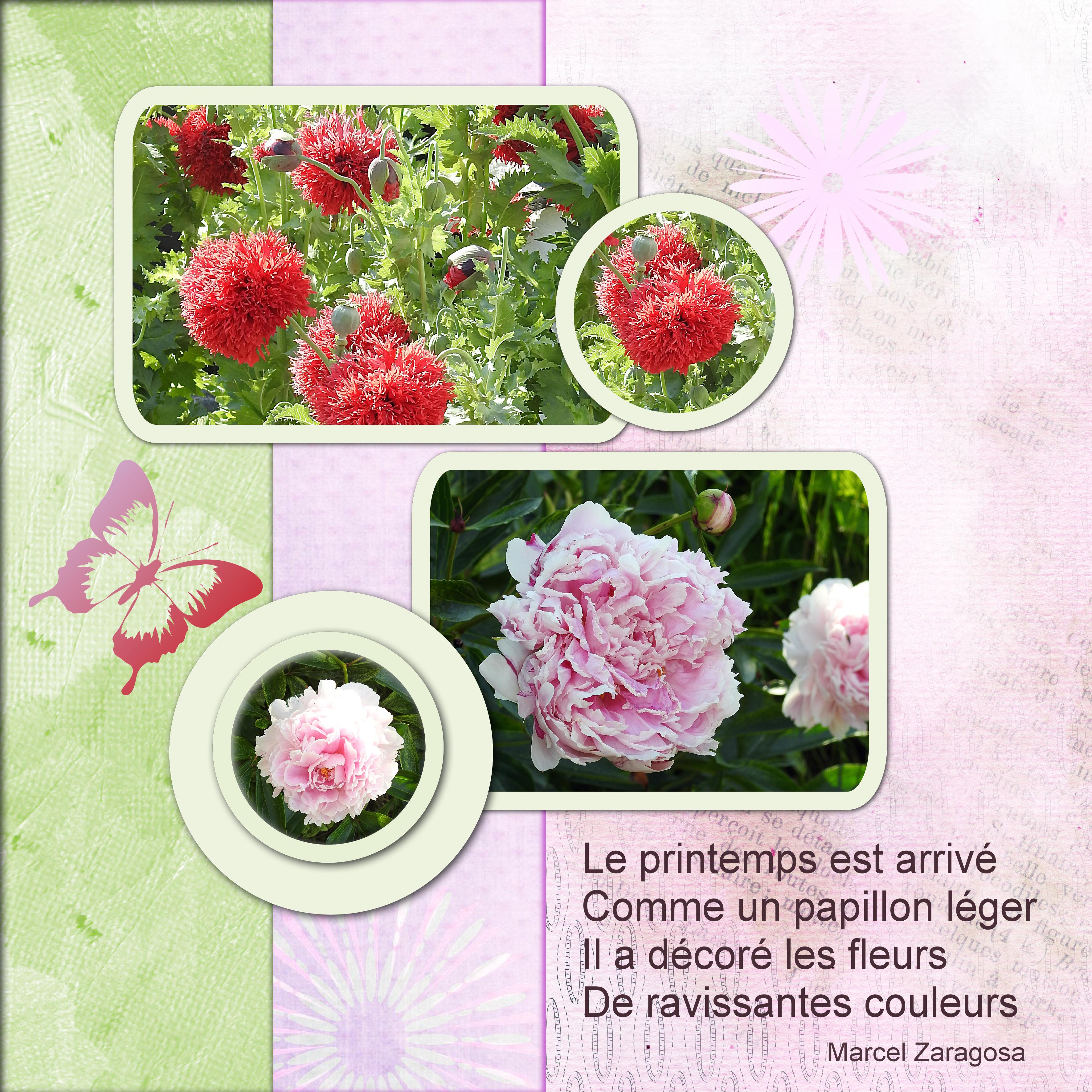 J-n33 - LE PRINTEMPS EST ARRIVE.jpg