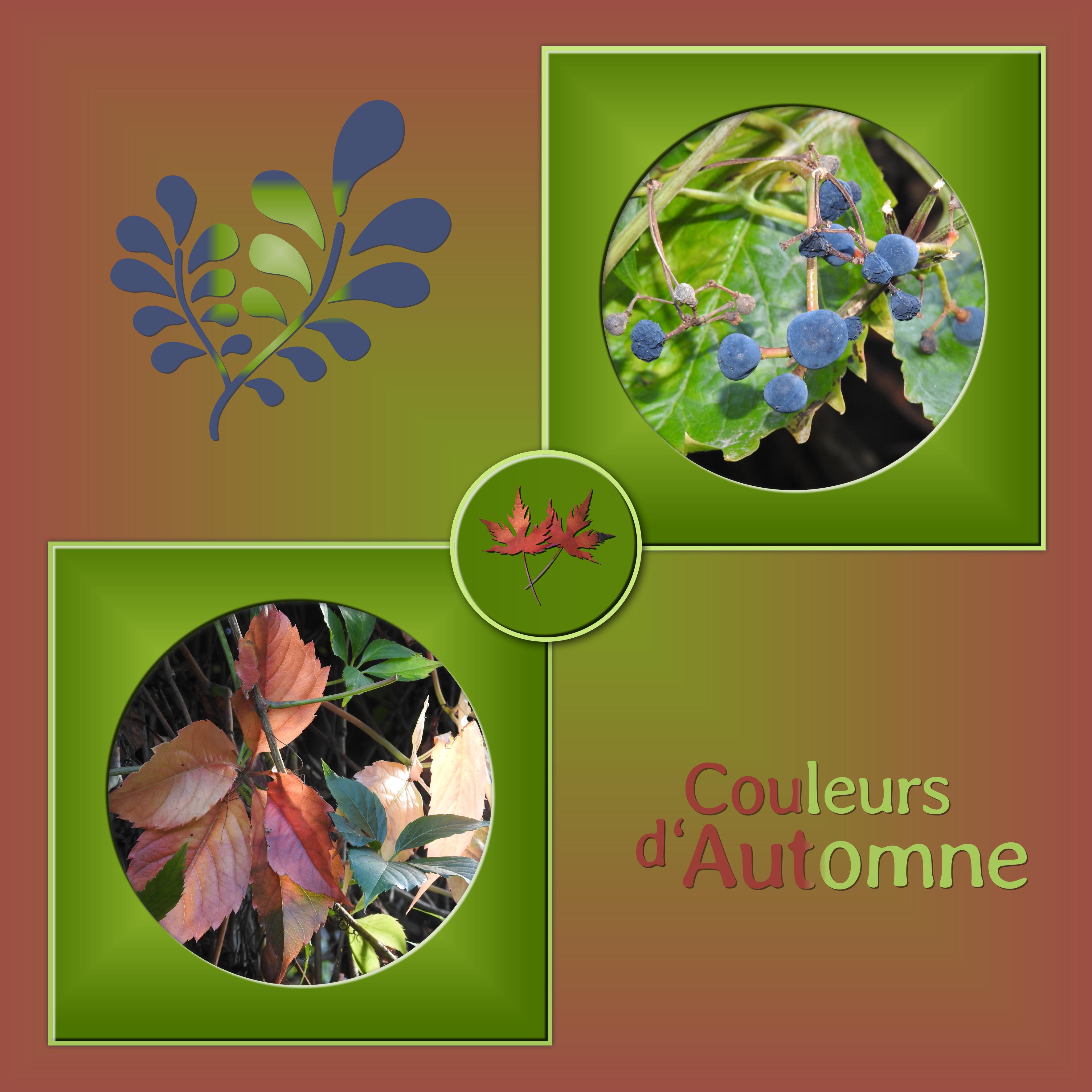 J-n34 - COULEURS D'AUTOMNE.jpg