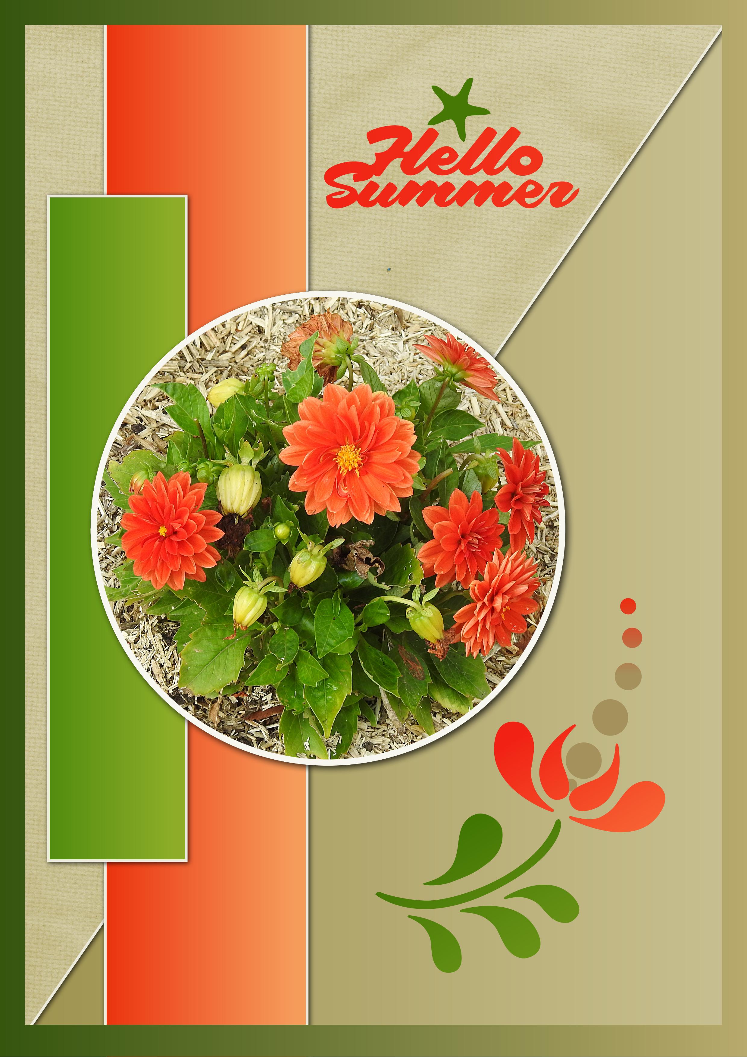 J-n34 - HELLO SUMMER.jpg