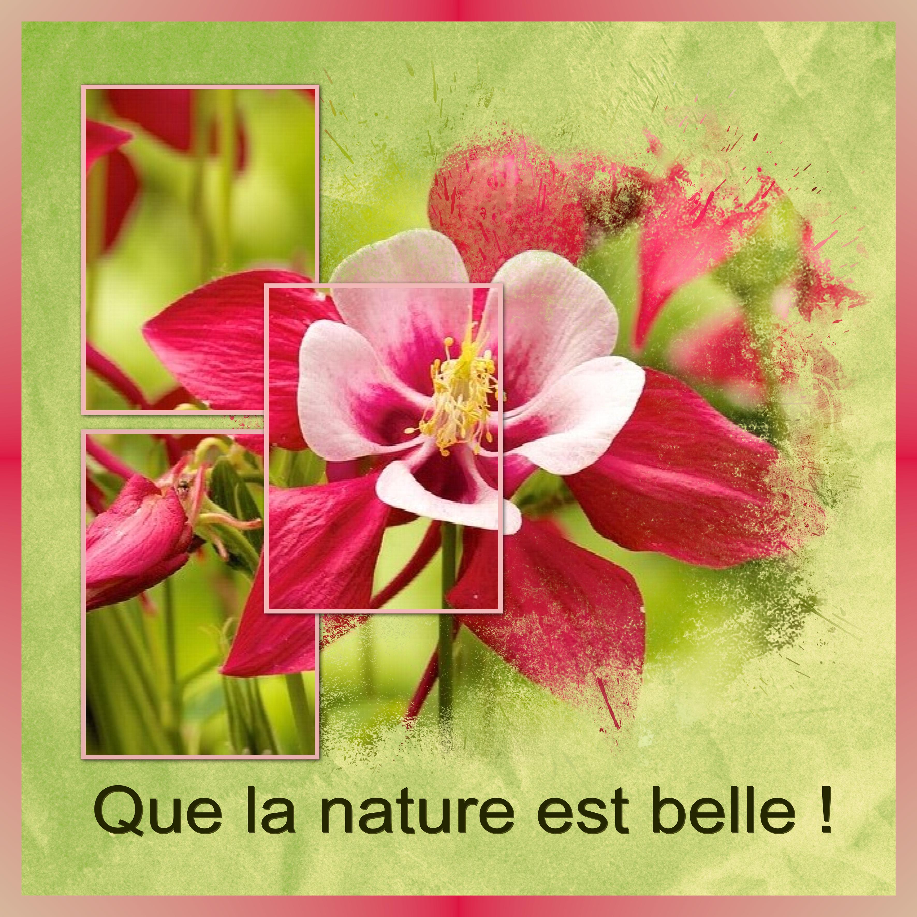 J-n35 - QUE LA NATURE EST BELLE.jpg