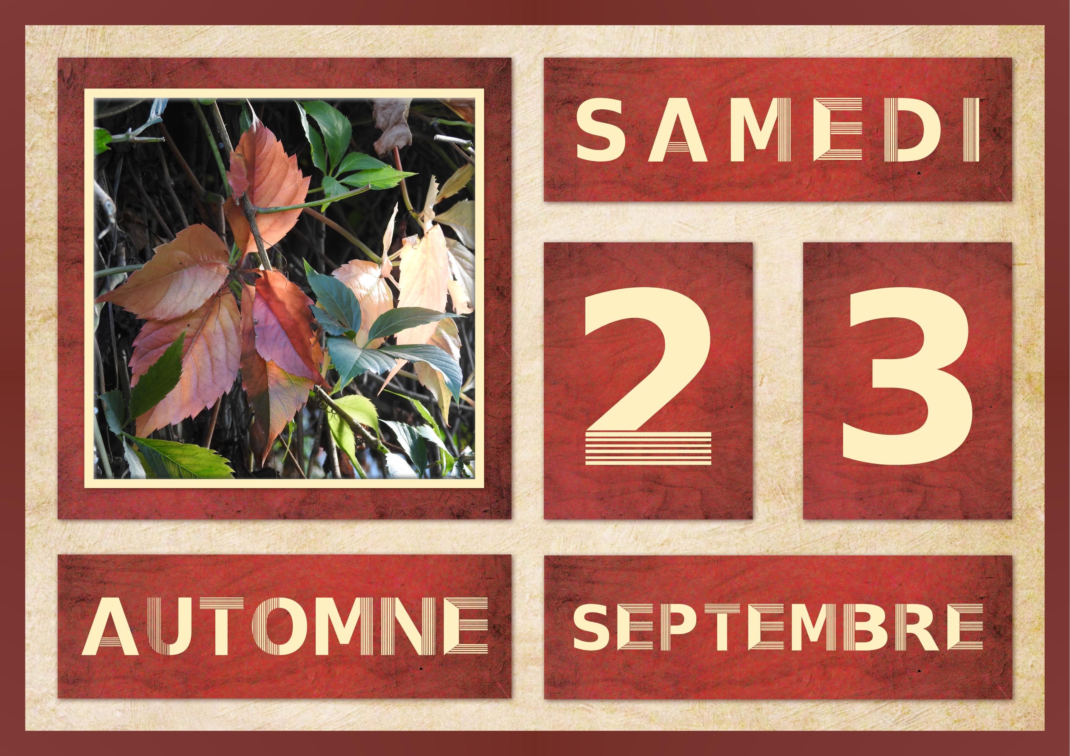 J-n36 -  AUTOMNE.jpg