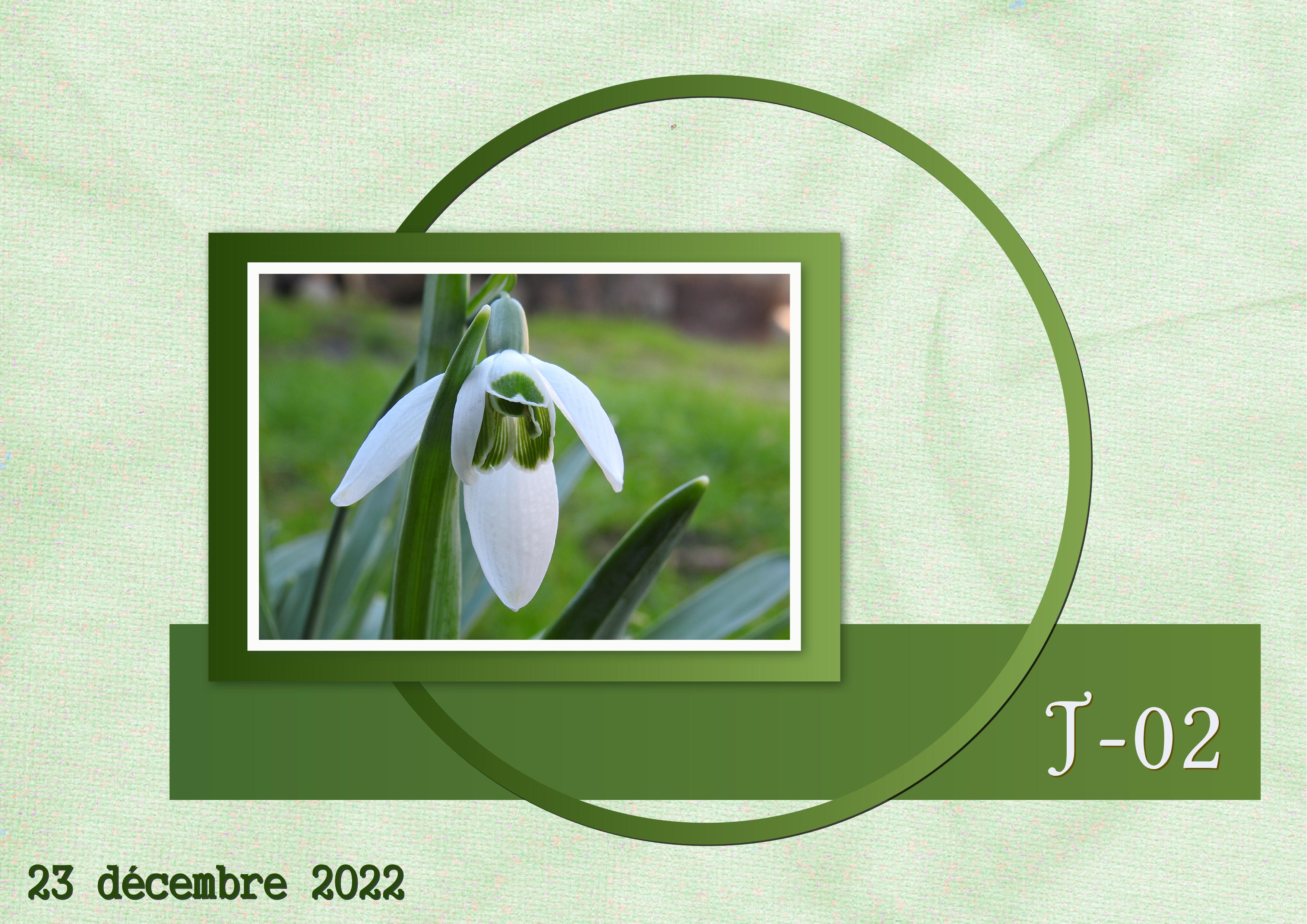 J-N36 - AVENT-02.jpg