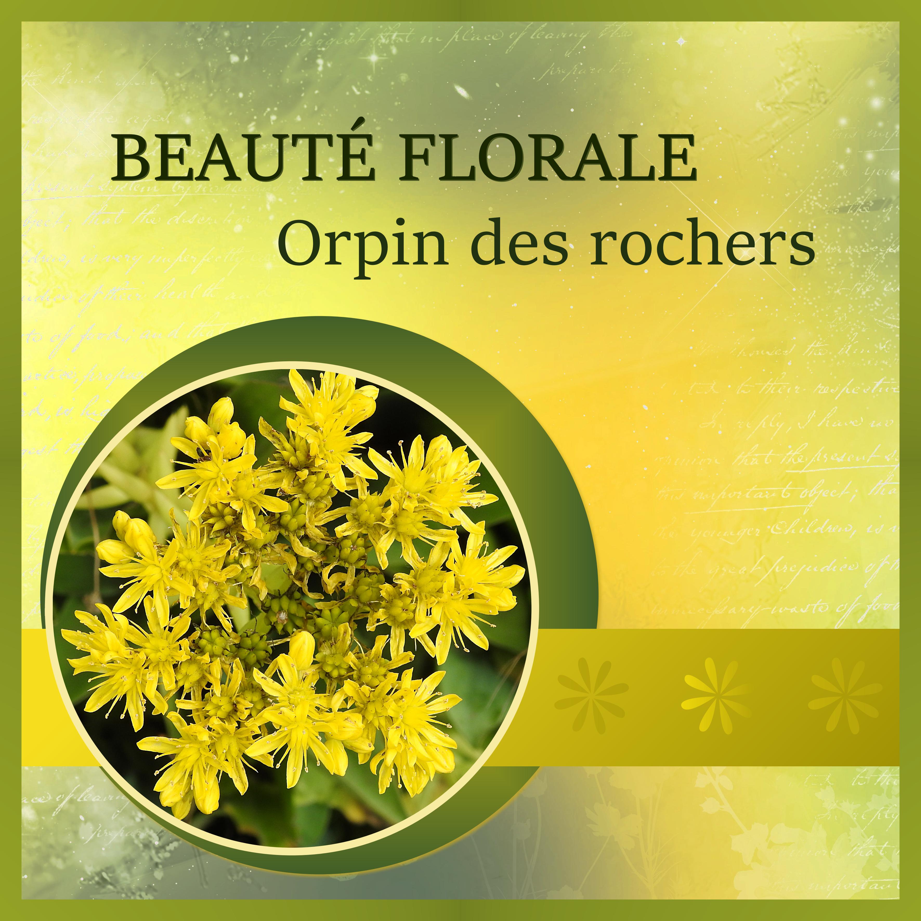 J-n36 - BEAUTE FLORALE.jpg