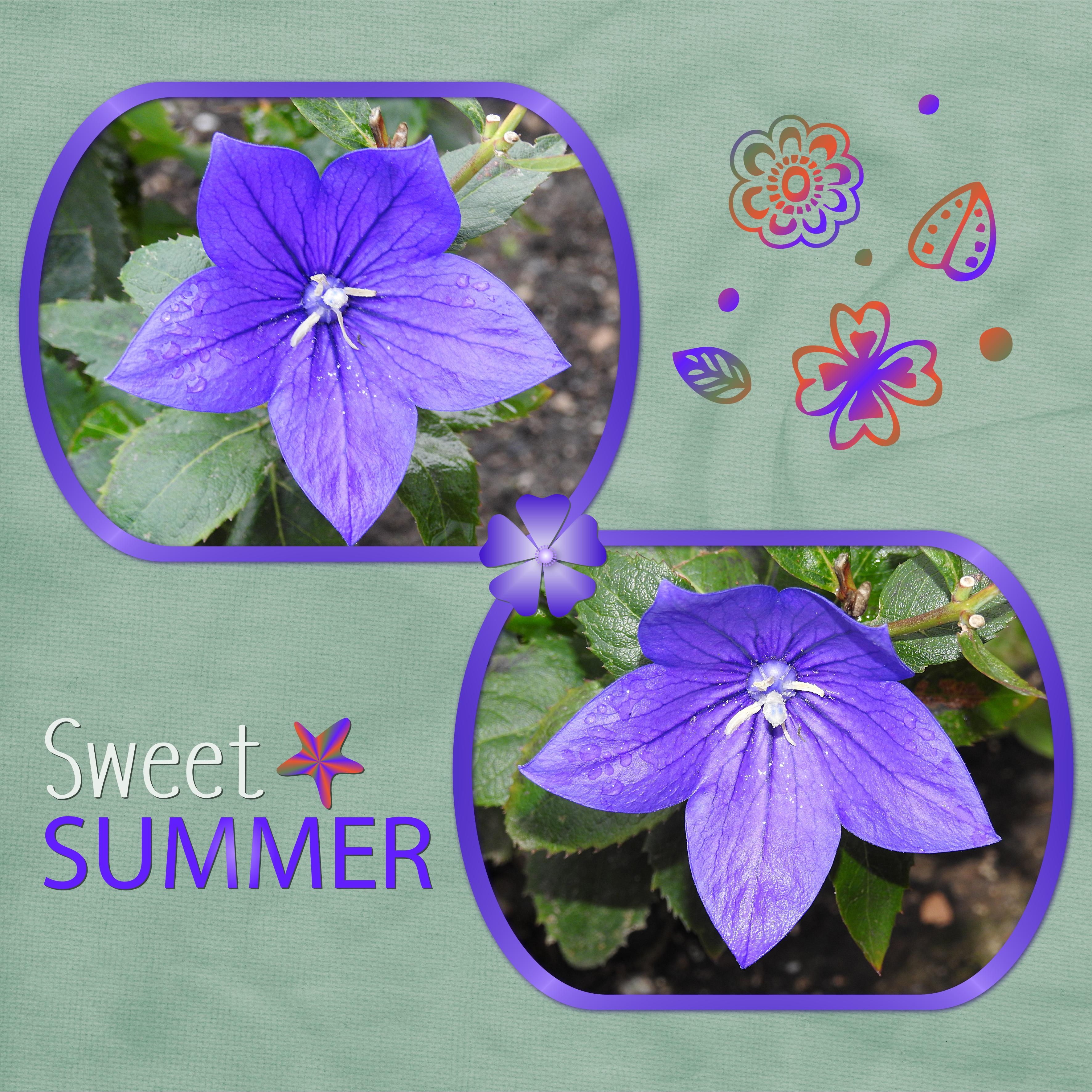 J-n36 - SWEET SUMMER.jpg