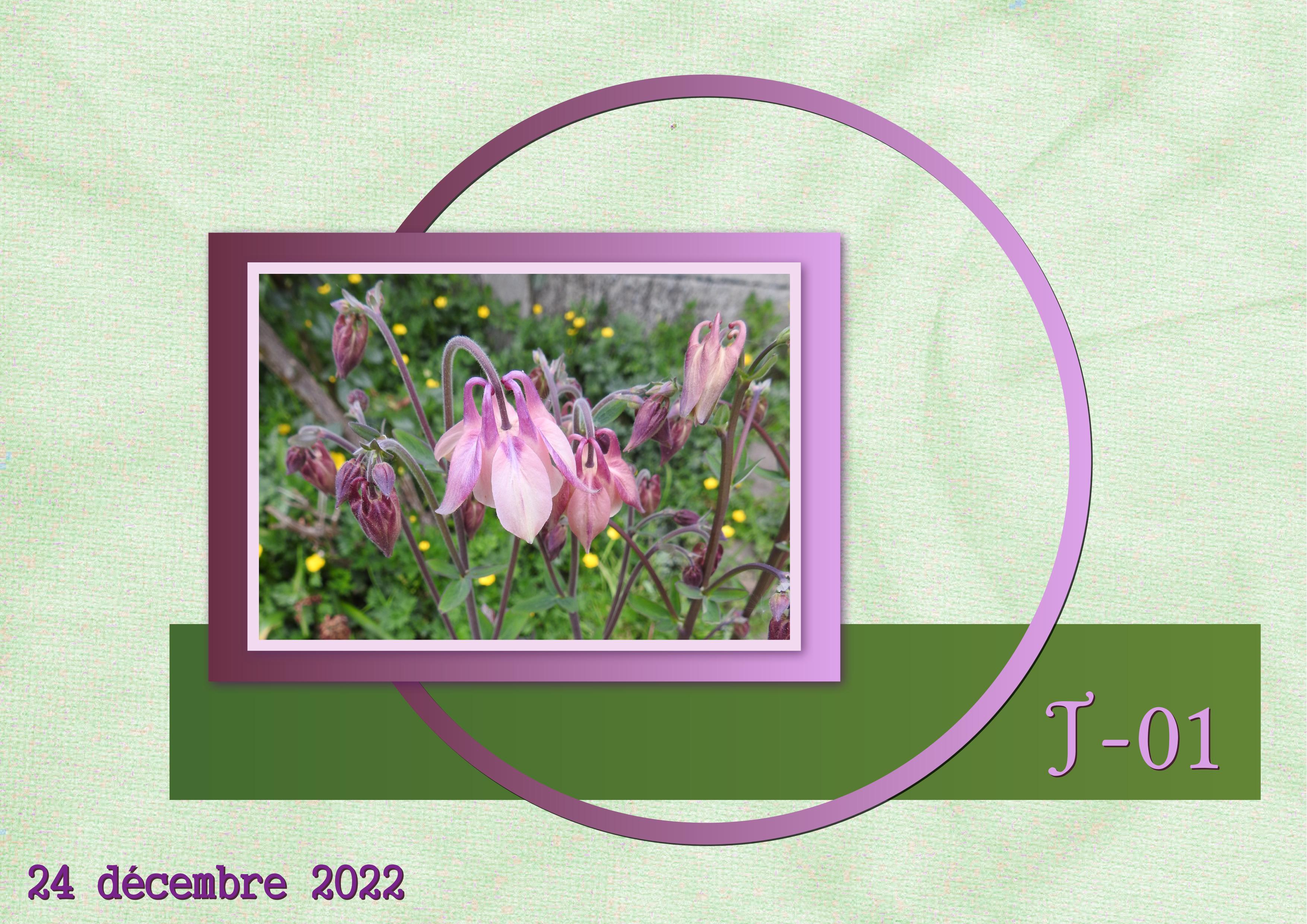 J-N38 - AVENT-01.jpg